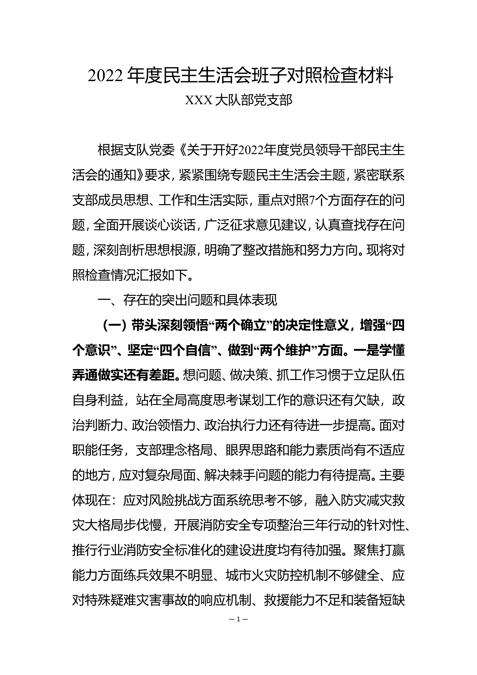 2022年度民主生活会党支部剖析材料.doc 第1页