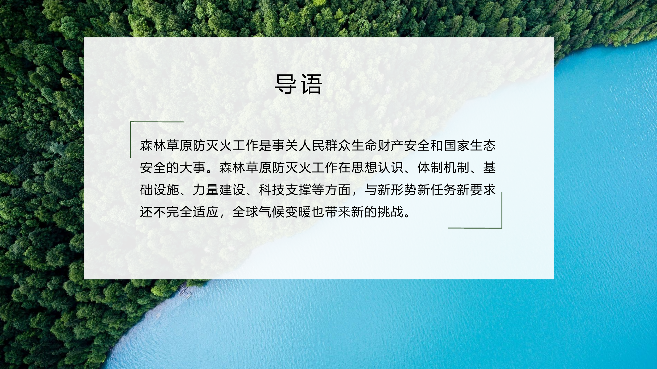 全面加强新形势下森林草原防灭火工作的意见中央60号文ppt.pptx 第2页