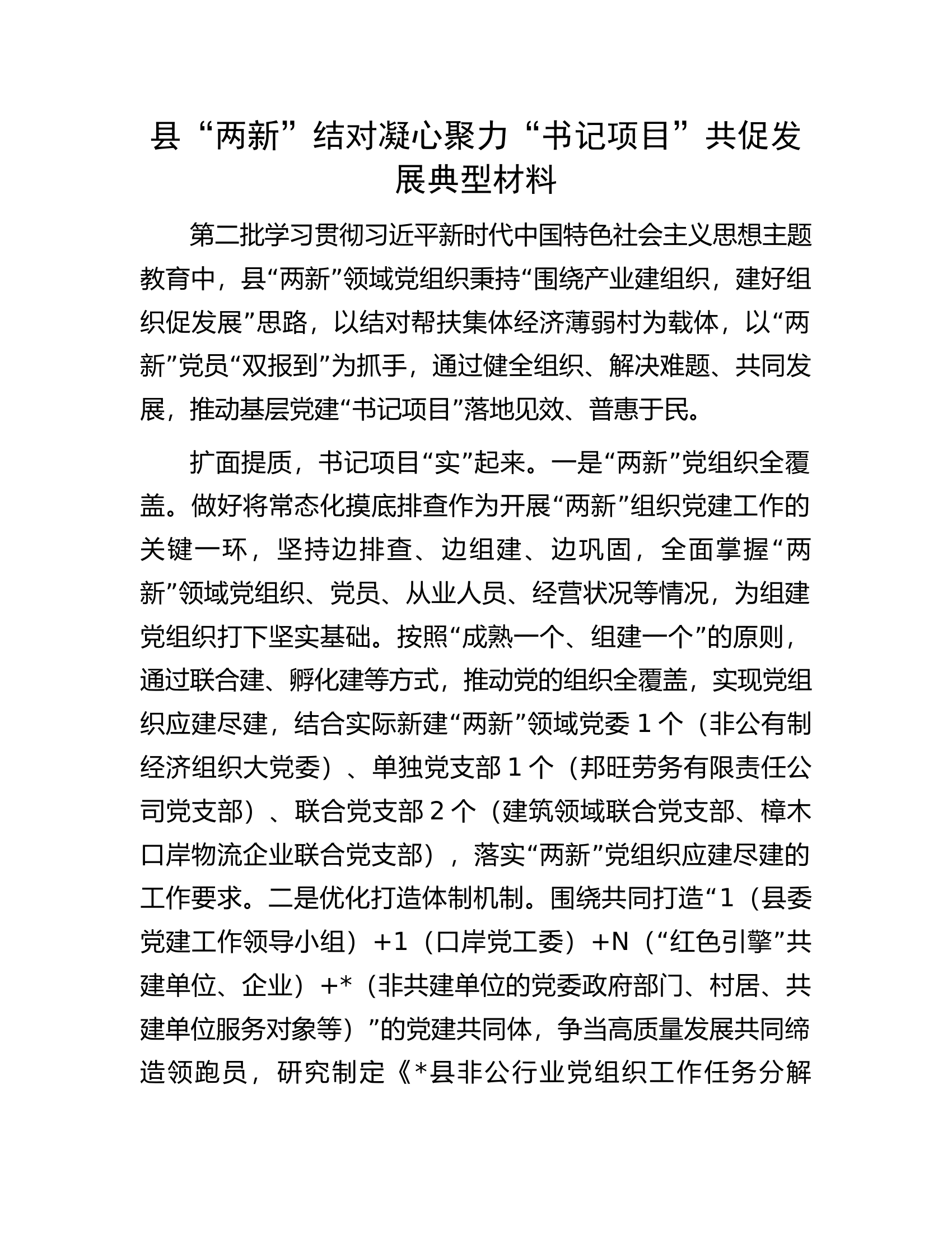 县&ldquo;两新&rdquo;结对凝心聚力&ldquo;书记项目&rdquo;共促发展典型材料.docx 第1页