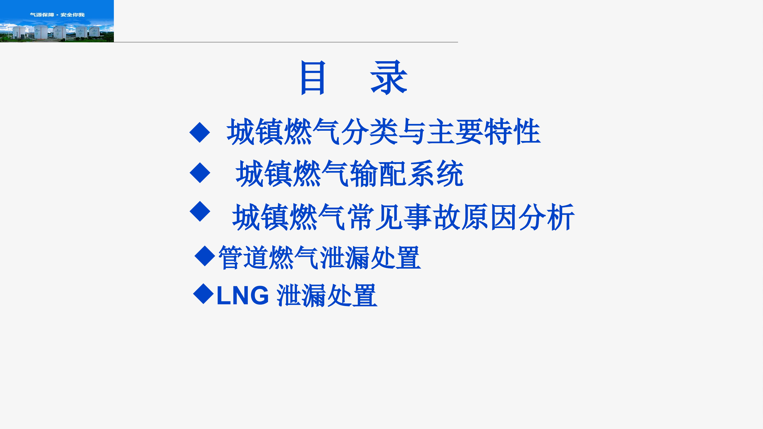 城镇燃气基础知识0110.pptx 第2页