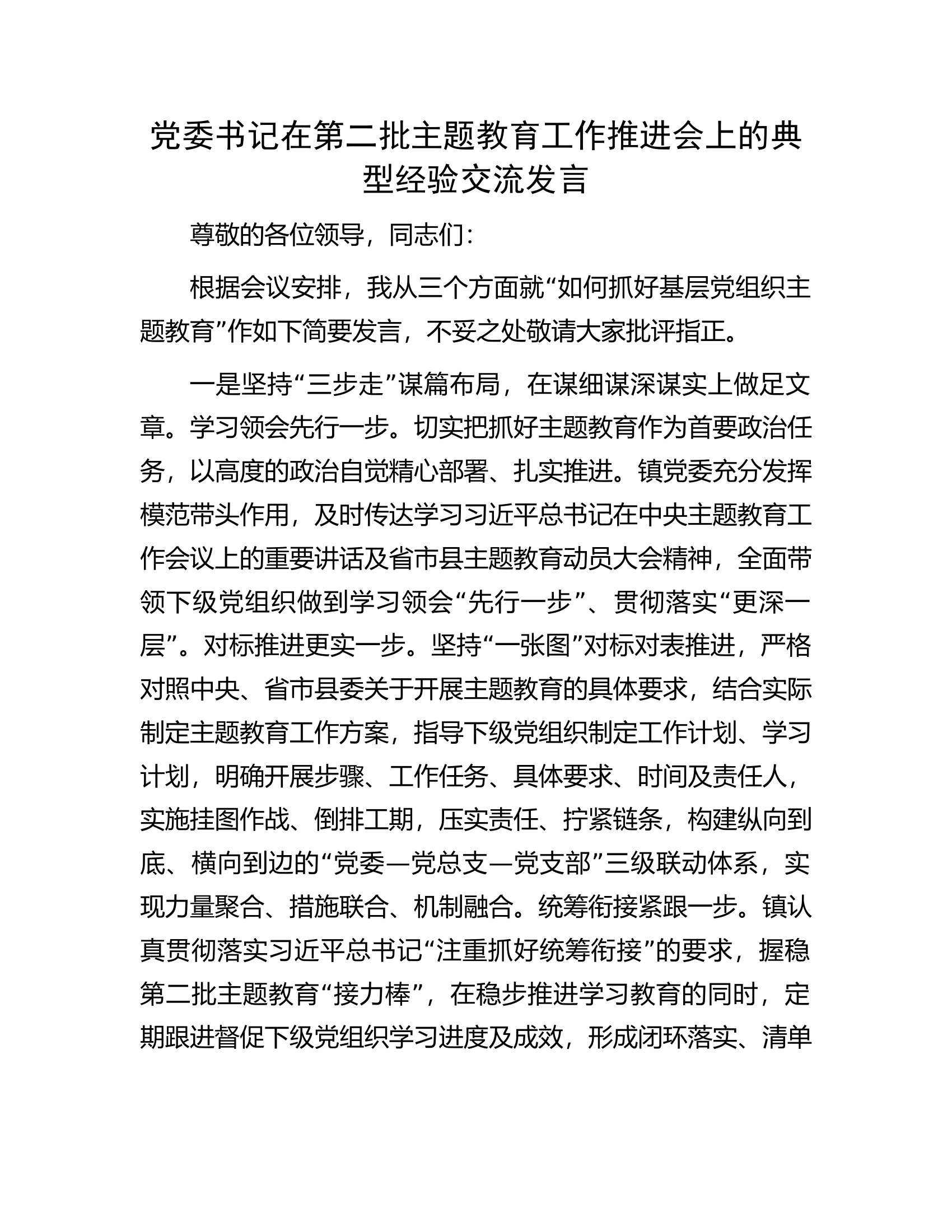 党委书记在第二批主题教育工作推进会上的典型经验交流发言.docx 第1页