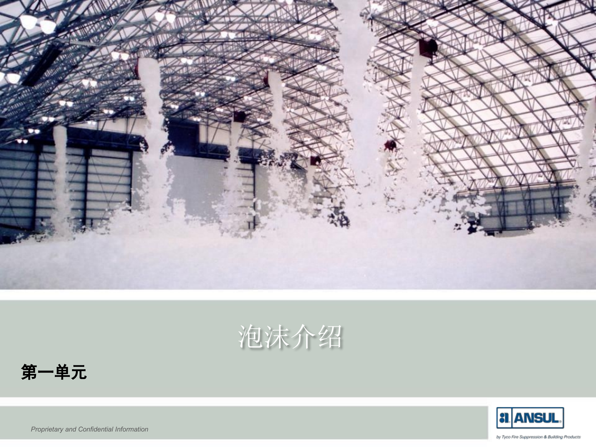 泡沫介绍及其它相关信息.pdf 第1页