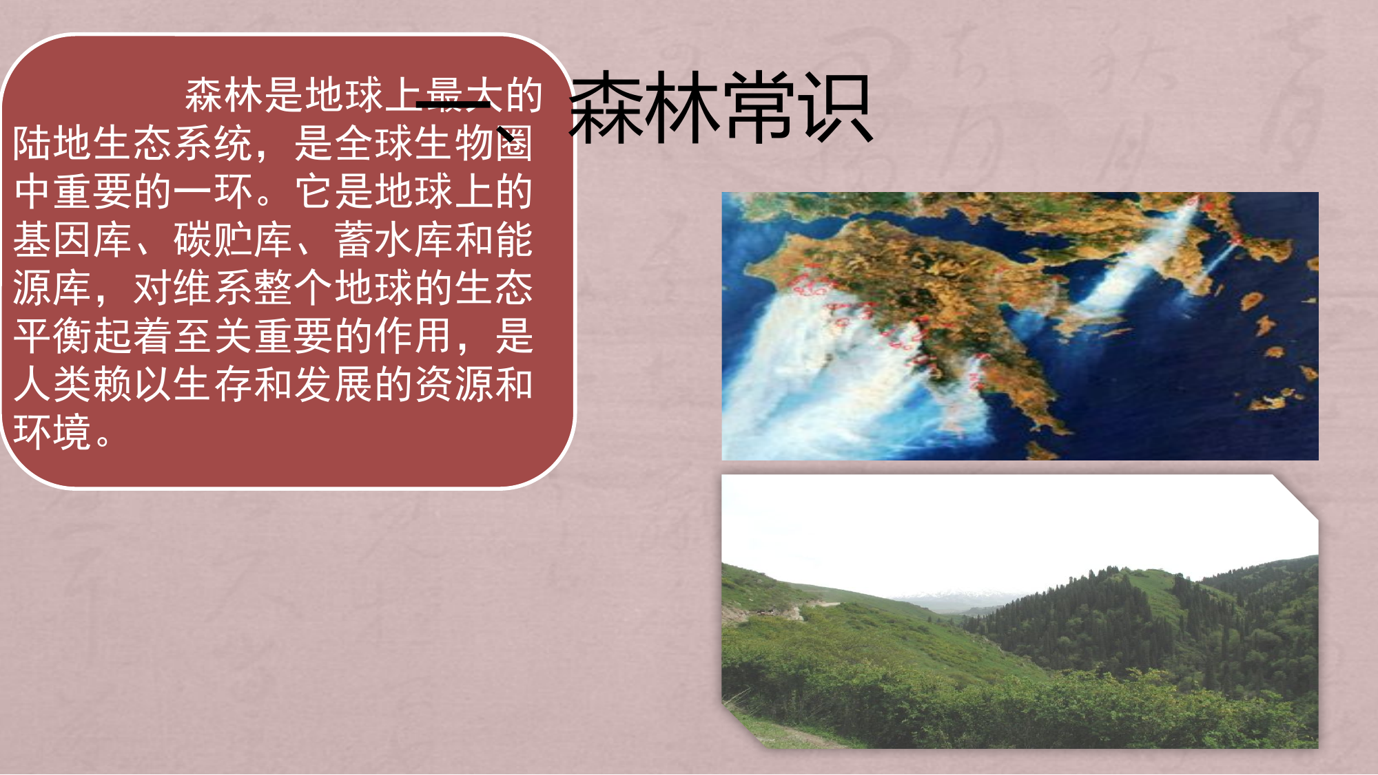 防火宣讲(1).pptx 第2页