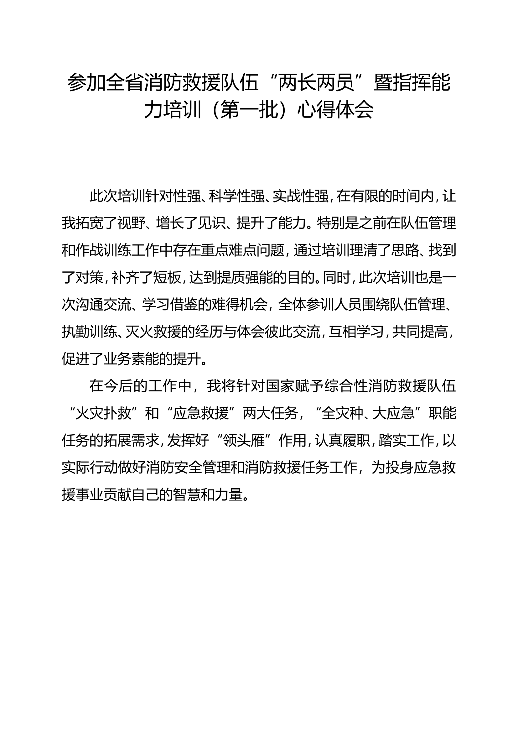 “两长两员”暨指挥能力培训心得体会.doc 第1页