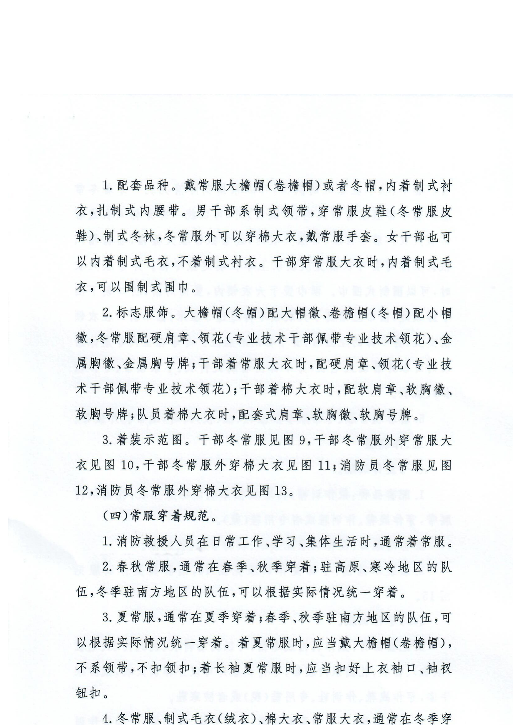 国家综合性消防救援队伍制式服装穿着和标志服饰辍钉规范.pdf 第2页