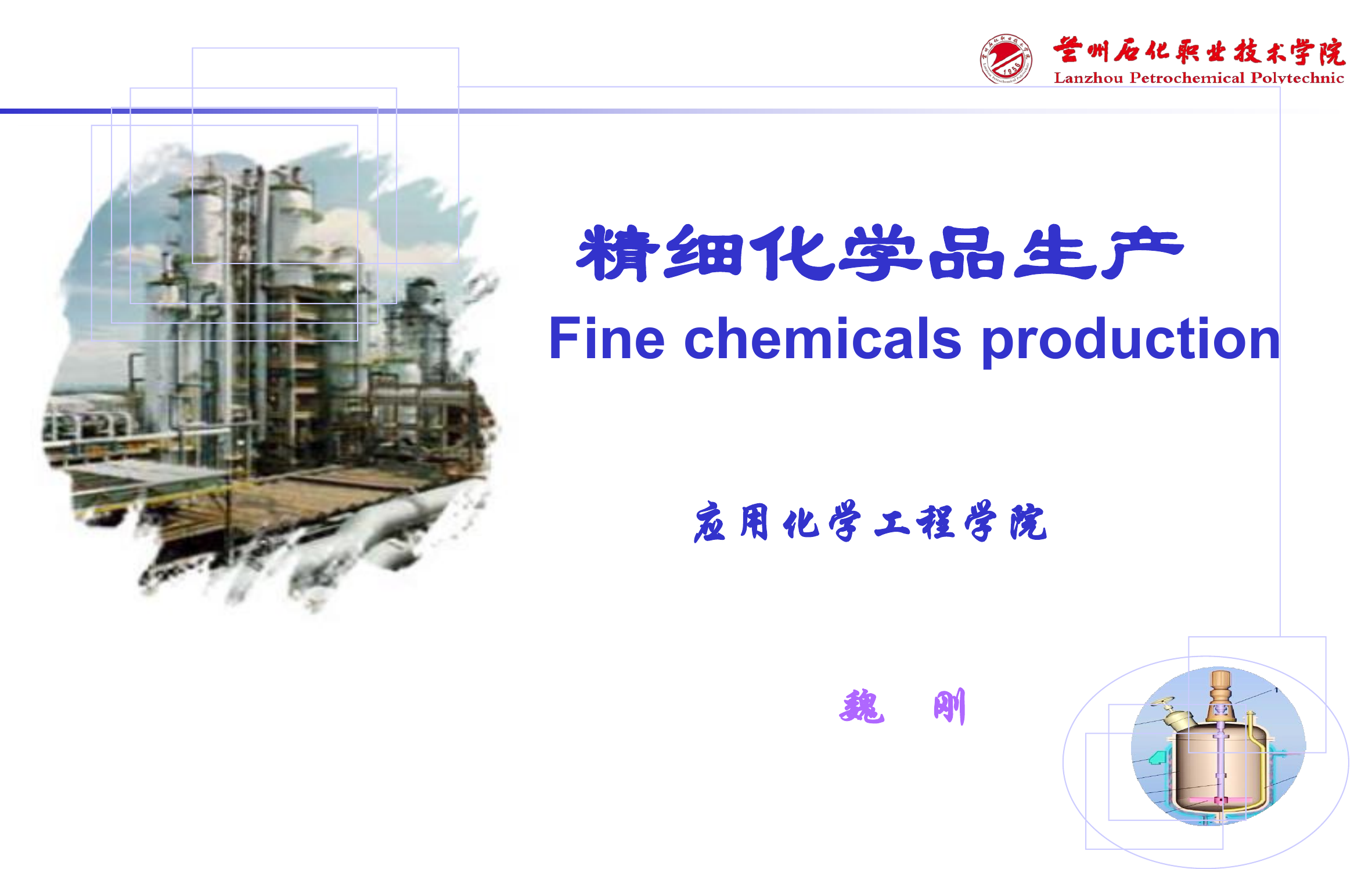 1.18精细化工概述.pdf 第1页