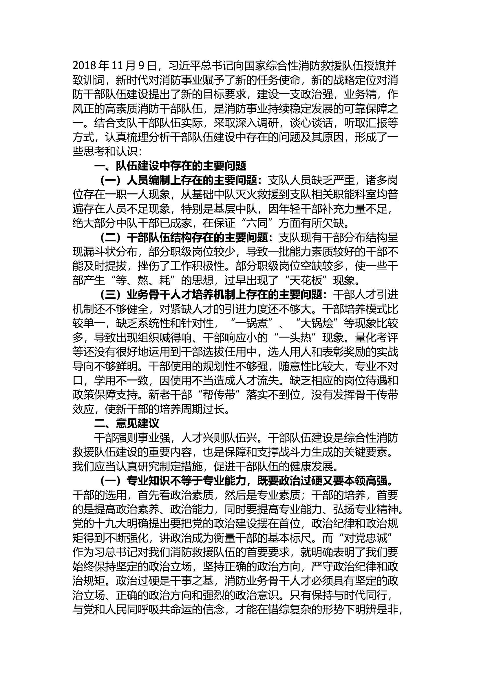 精品：对消防救援干部队伍现状的几点思考与认识.docx 第1页