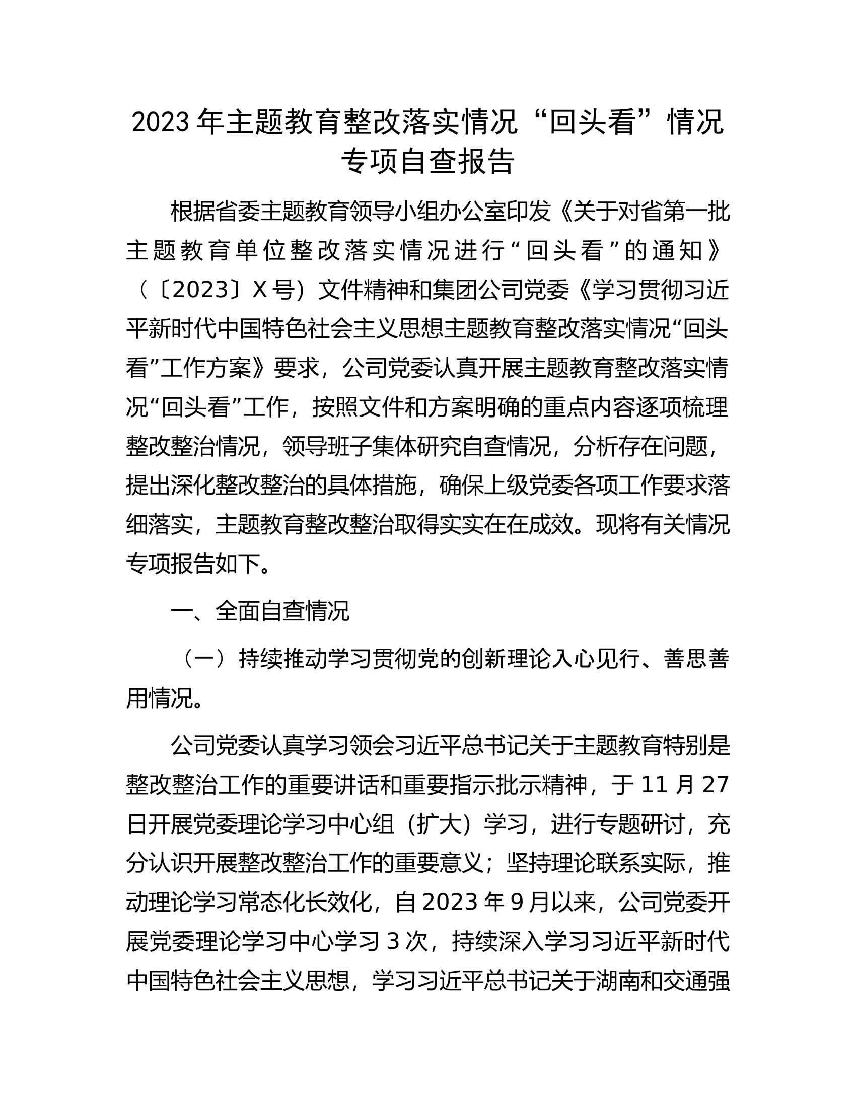 2023年主题教育整改落实情况“回头看”情况专项自查报告.docx 第1页