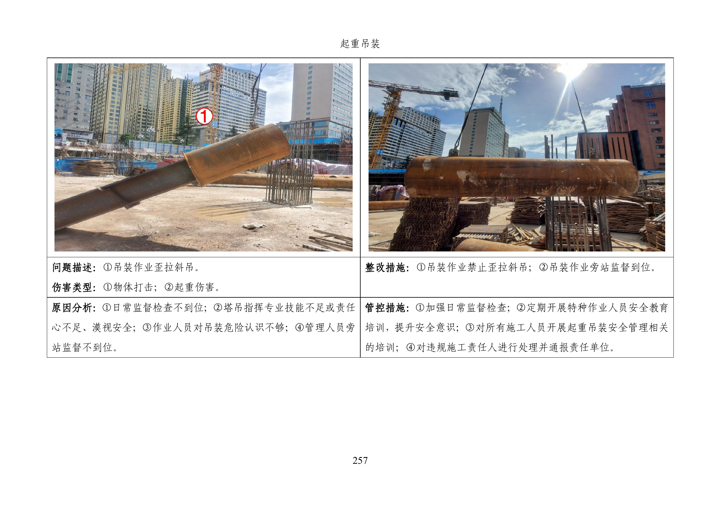 安全生产隐患识别口袋书（下）丨228页.pdf 第2页