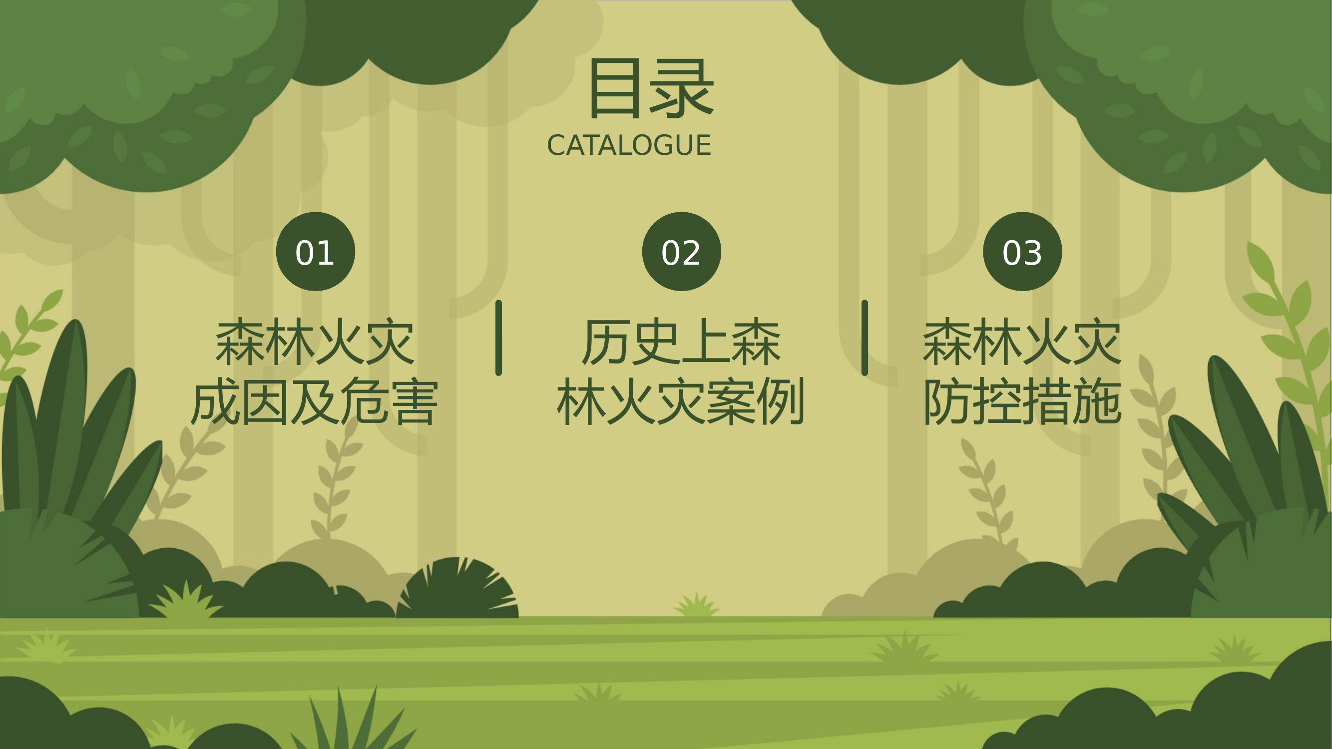 森林防火消防安全知识培训.pptx 第2页