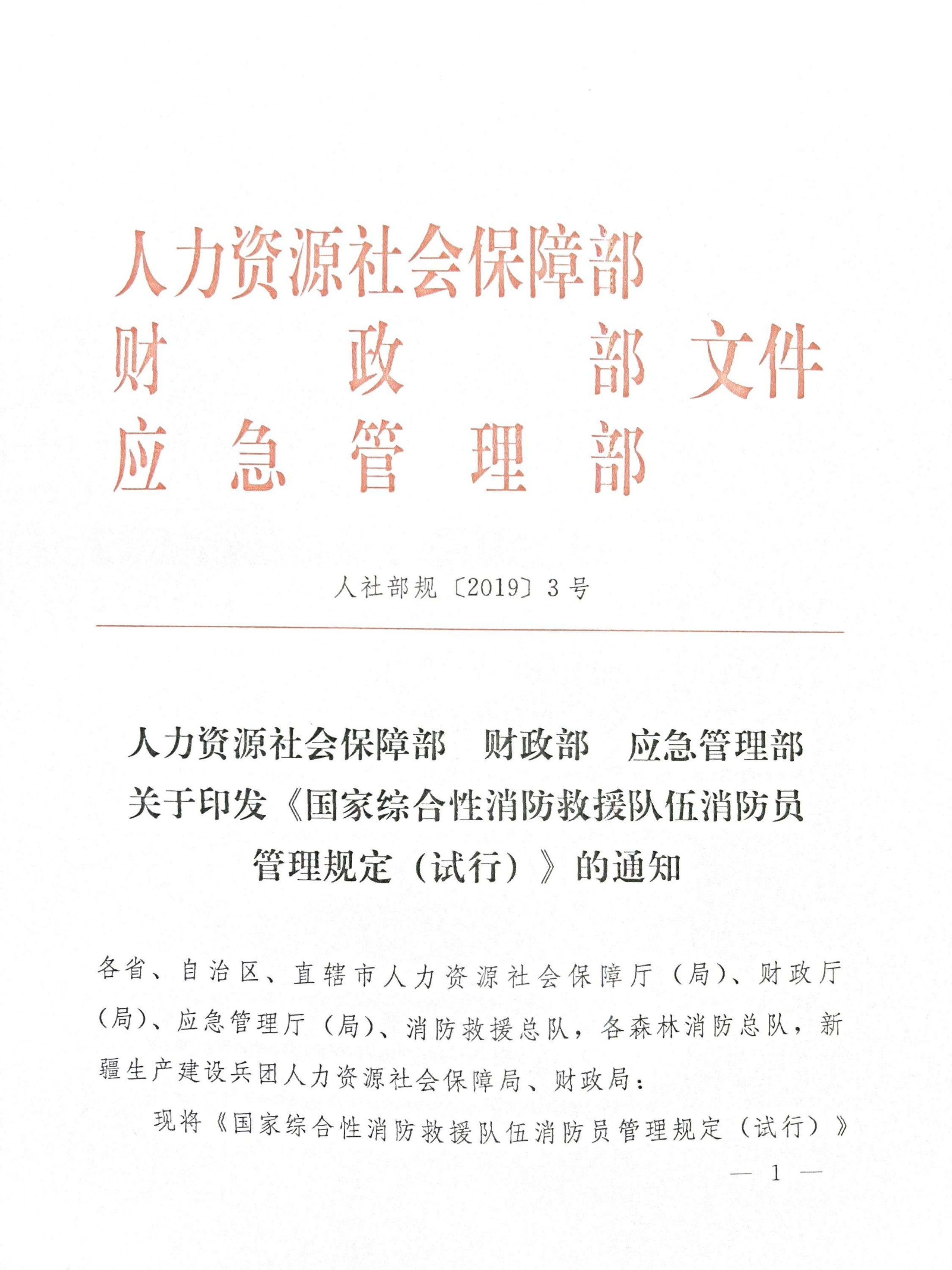 国家综合性消防救援队伍消防员管理规定（试行）.pdf 第1页