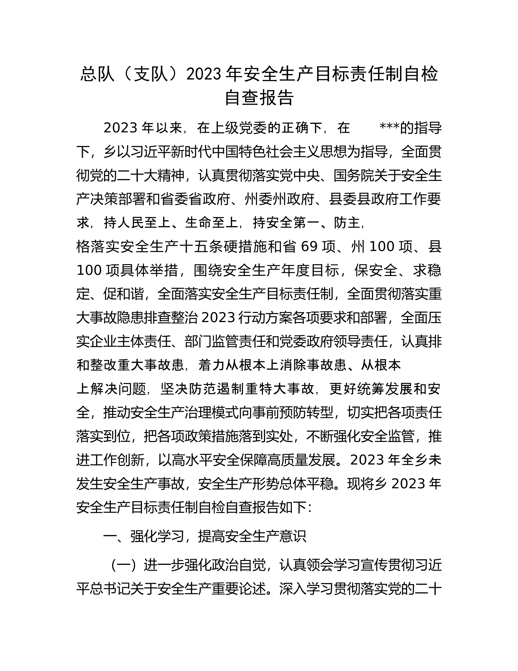 总队（支队）2023年安全生产目标责任制自检自查报告.docx 第1页