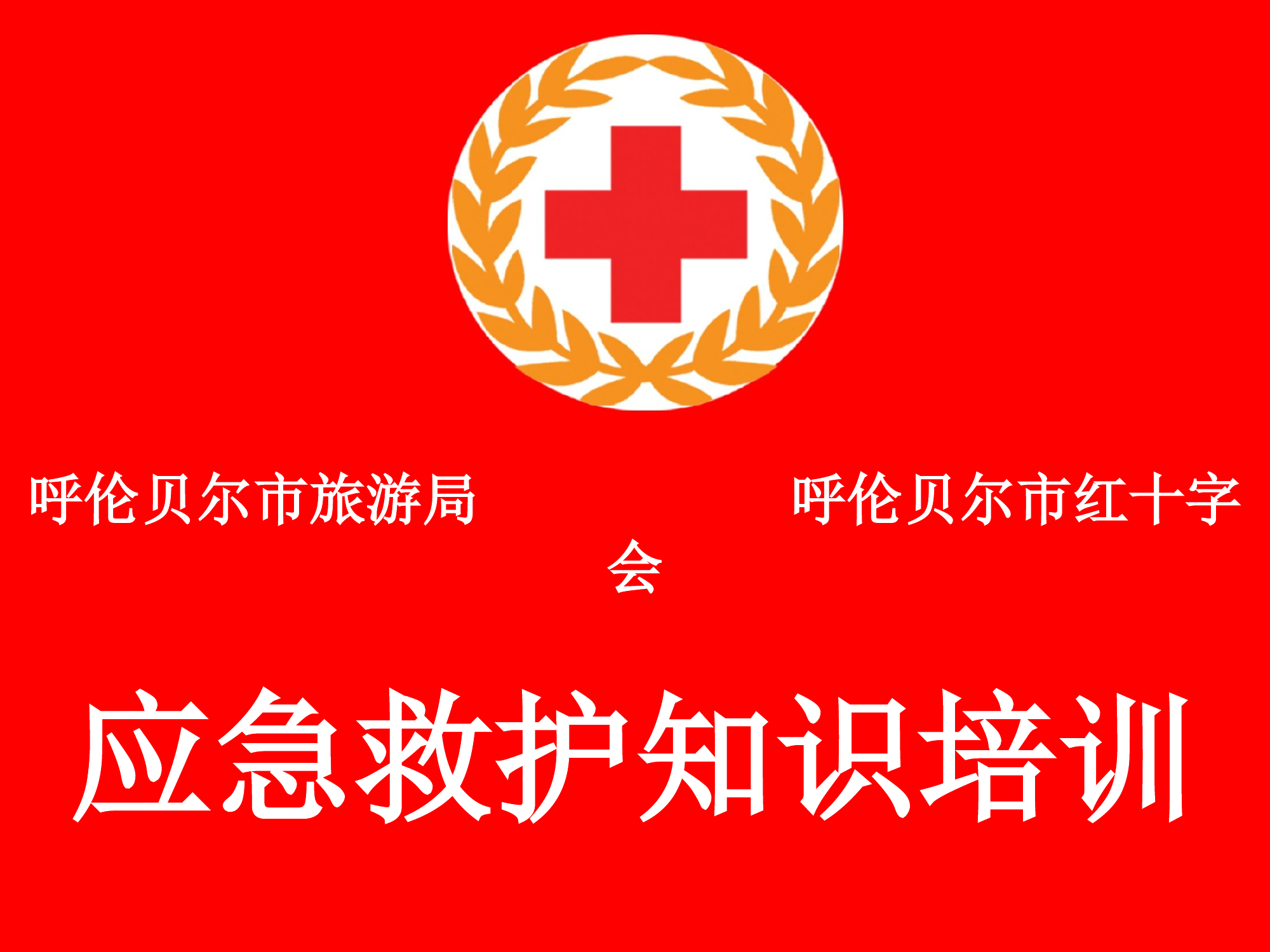 应急救护知识.pptx 第1页