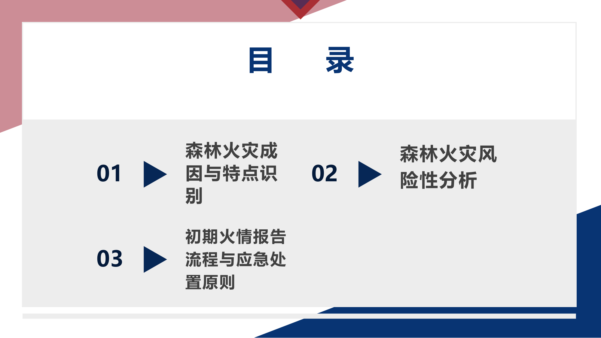 森林火灾防控与应急处置 第2页