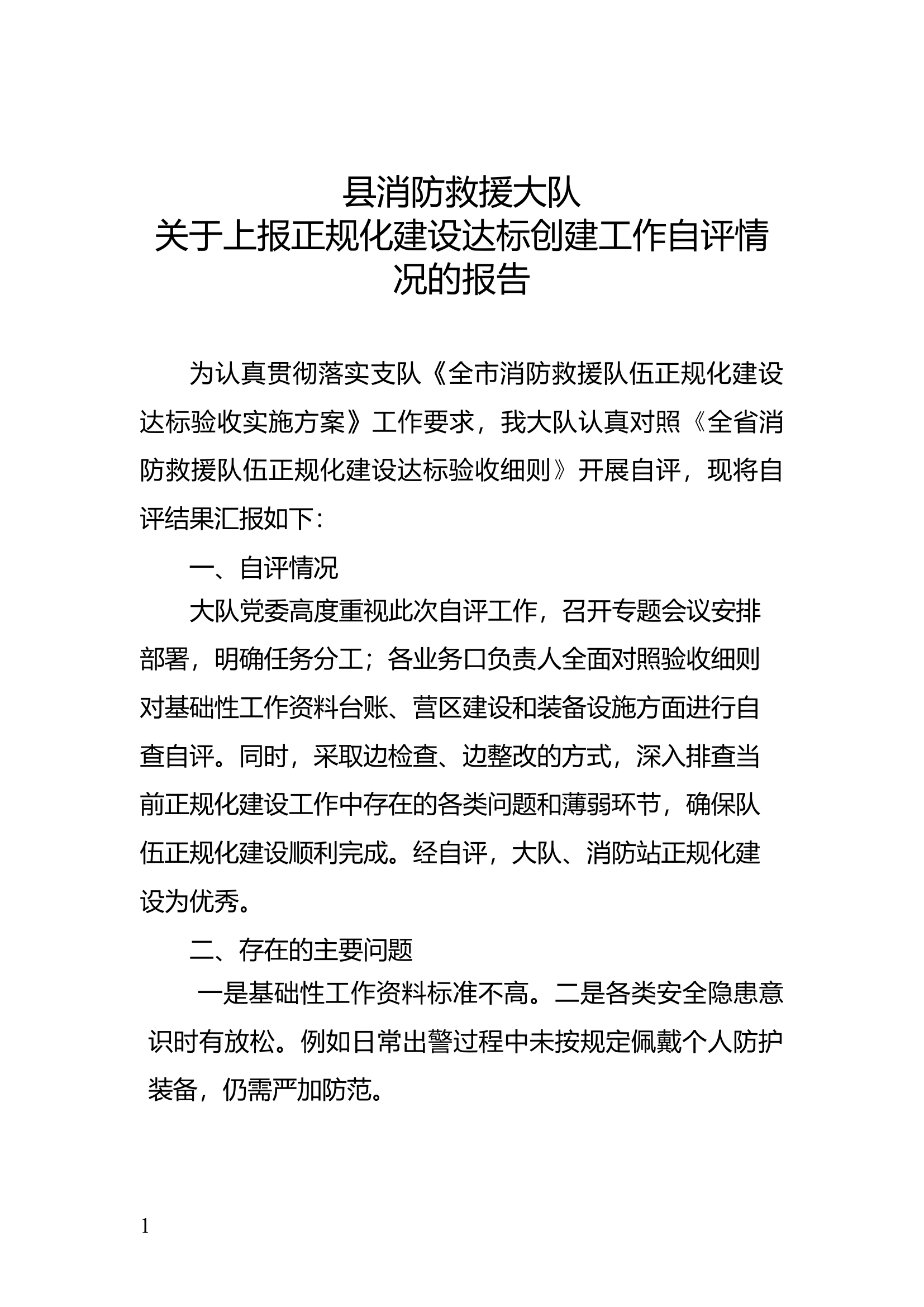 大队正规化建设自查自纠报告.docx 第1页