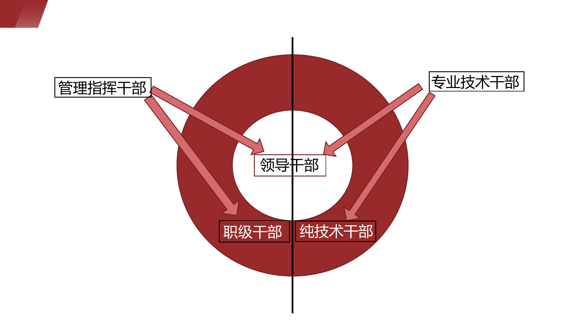 简述职级干部政策.pptx 第2页