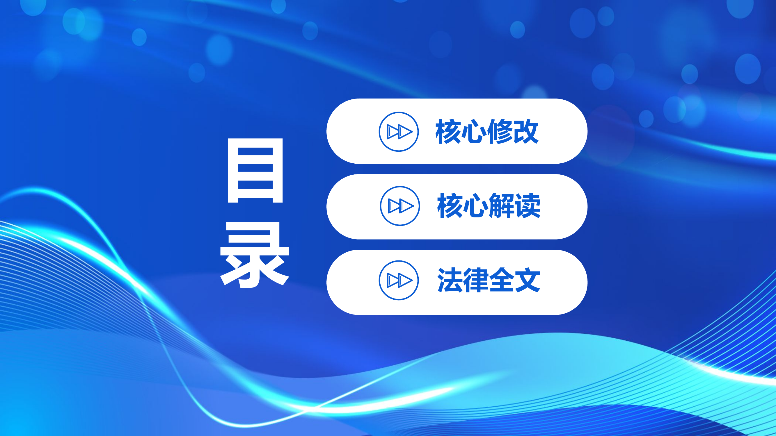 道路交通安全法2.pptx 第2页