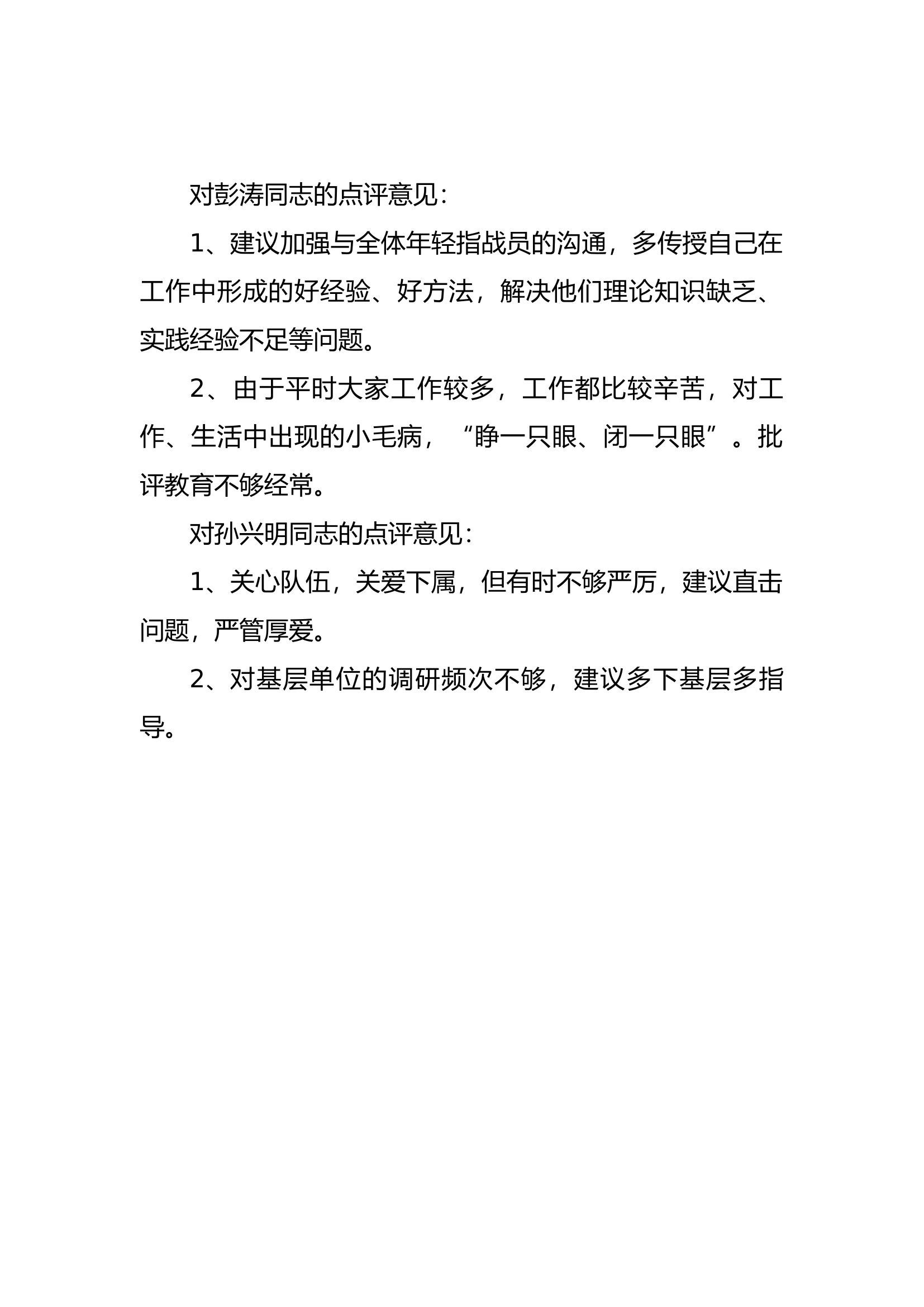 点评他人意见.docx 第1页