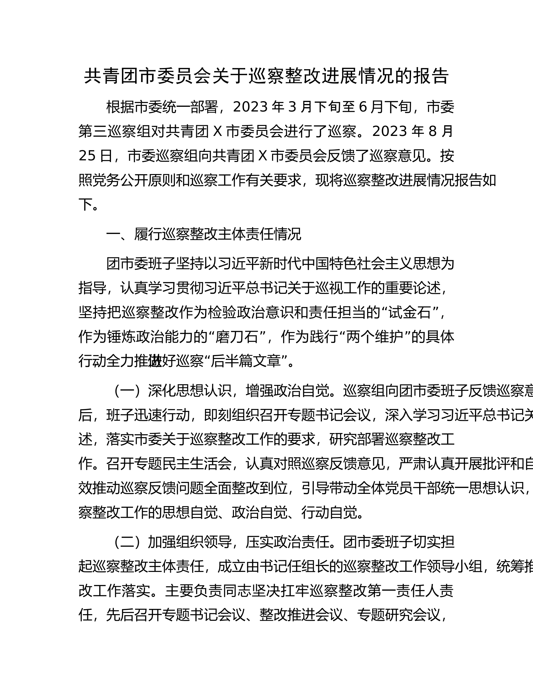 共青团市委员会关于巡察整改进展情况的报告...........docx 第1页