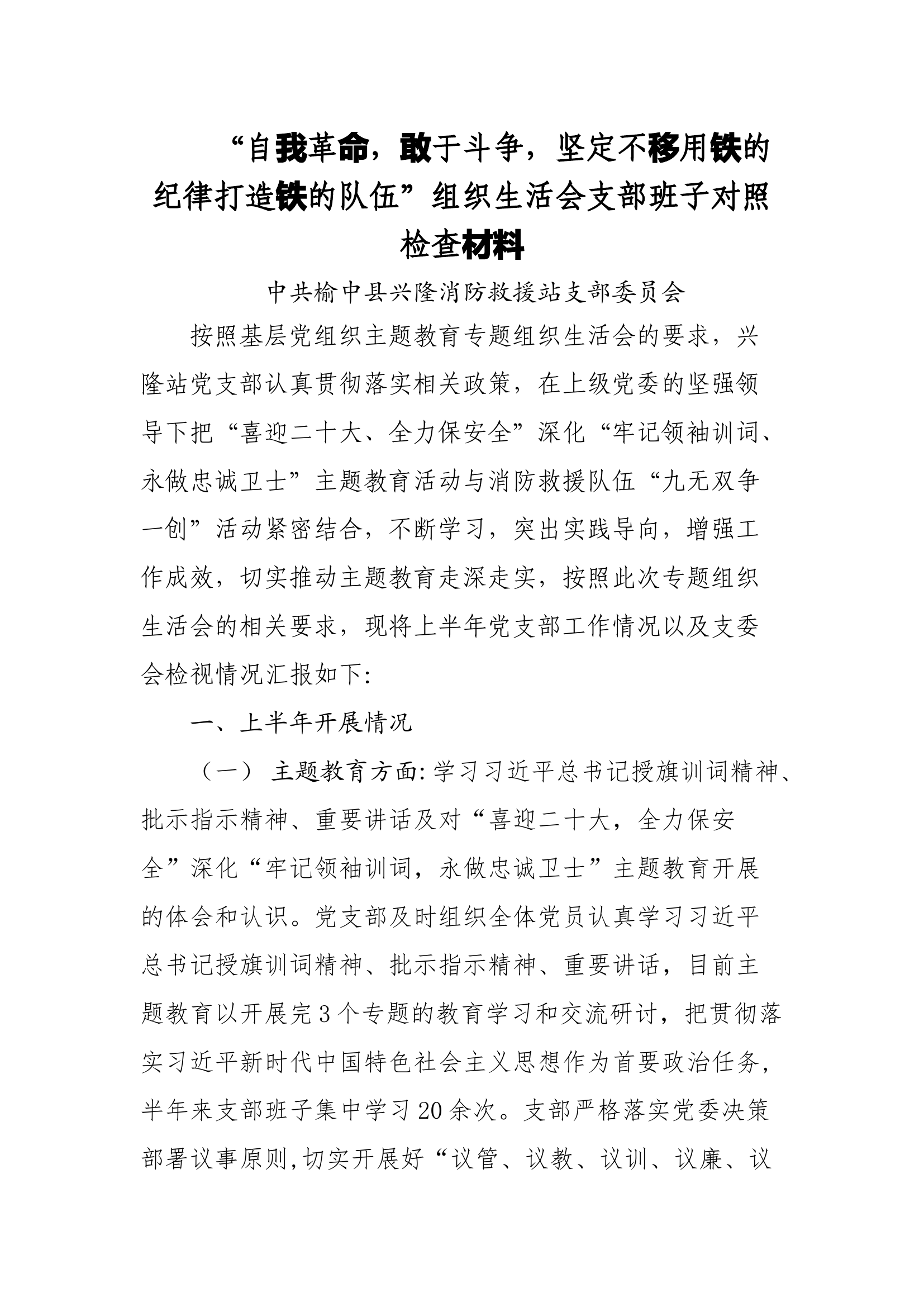“自我革命，敢于斗争，坚定不移用铁的纪律打造铁的队伍”组织生活会支部班子对照检查材料（党支部）.docx 第1页