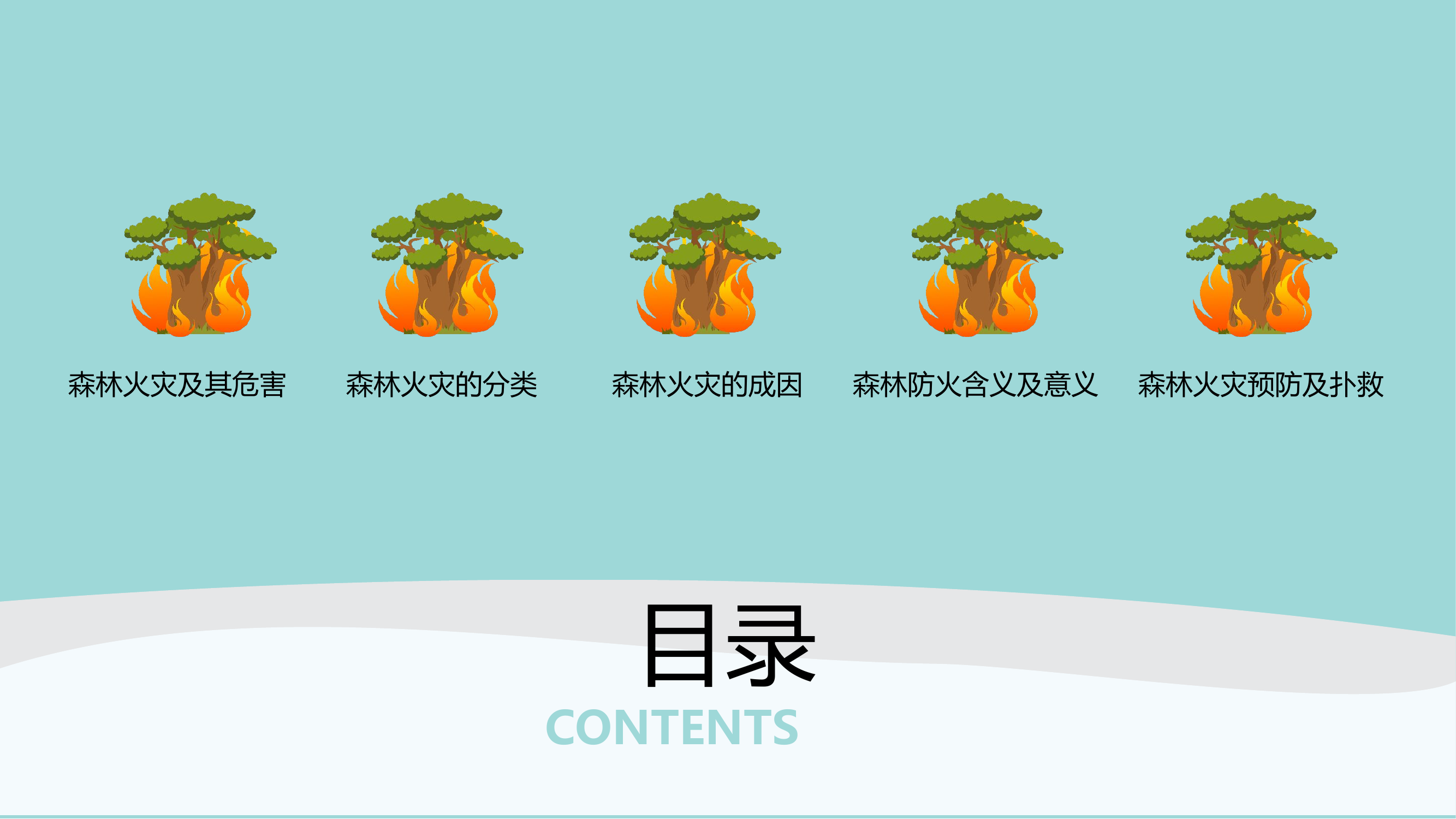 10、森林火灾知识培训.pptx 第2页