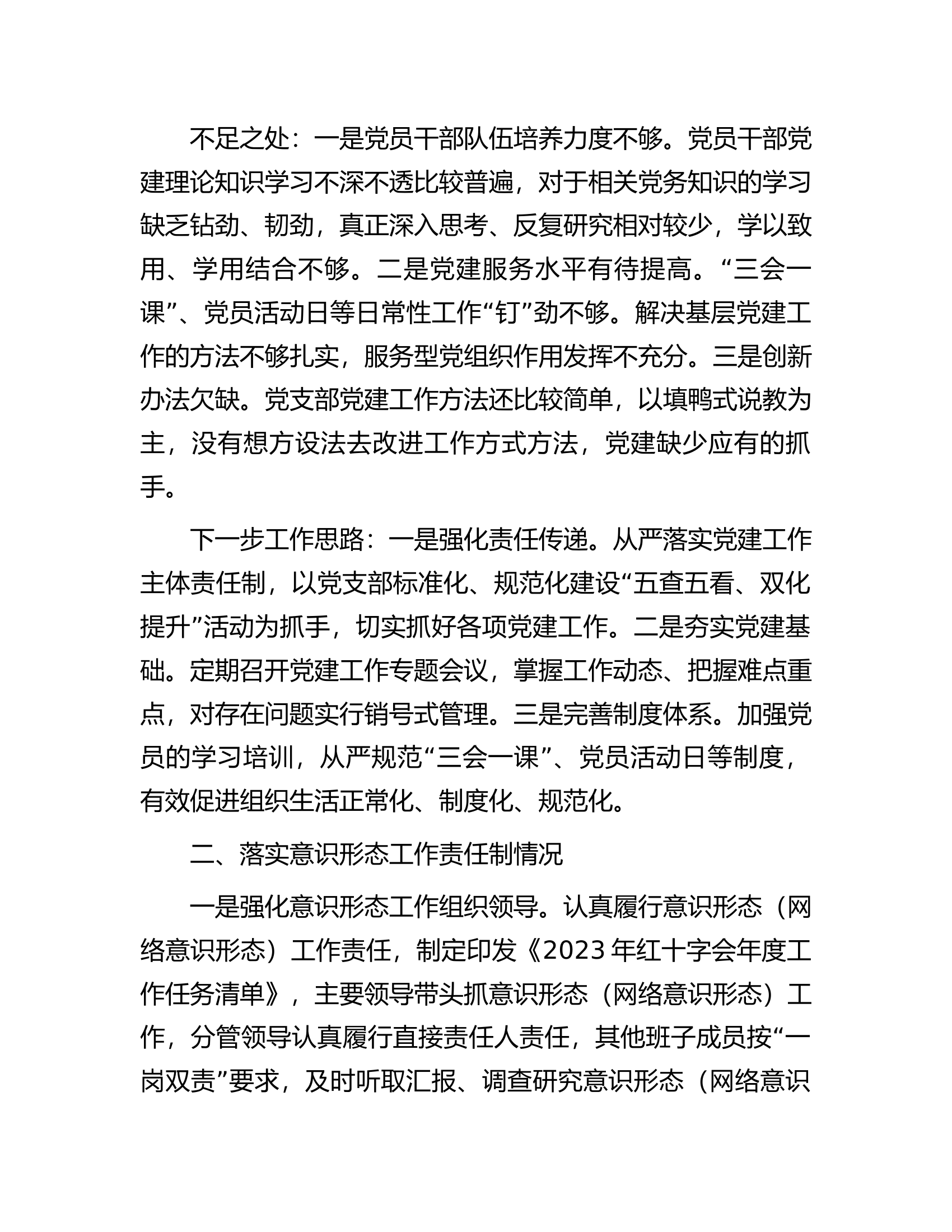 消防红十字会党支部抓基层党建述职报告.docx 第2页