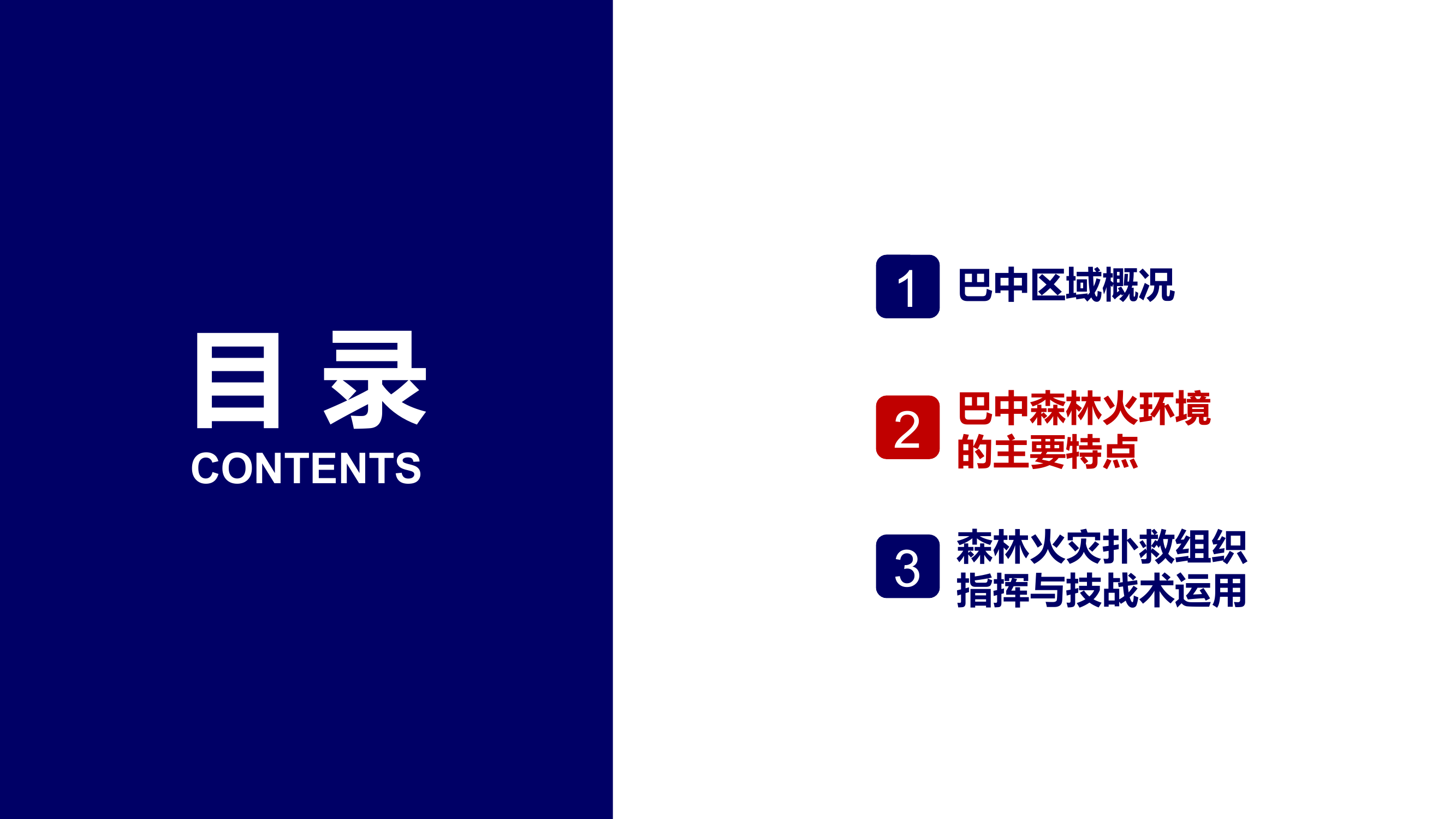 XX市森林火灾扑救组织指挥与技战术运用.pptx 第2页