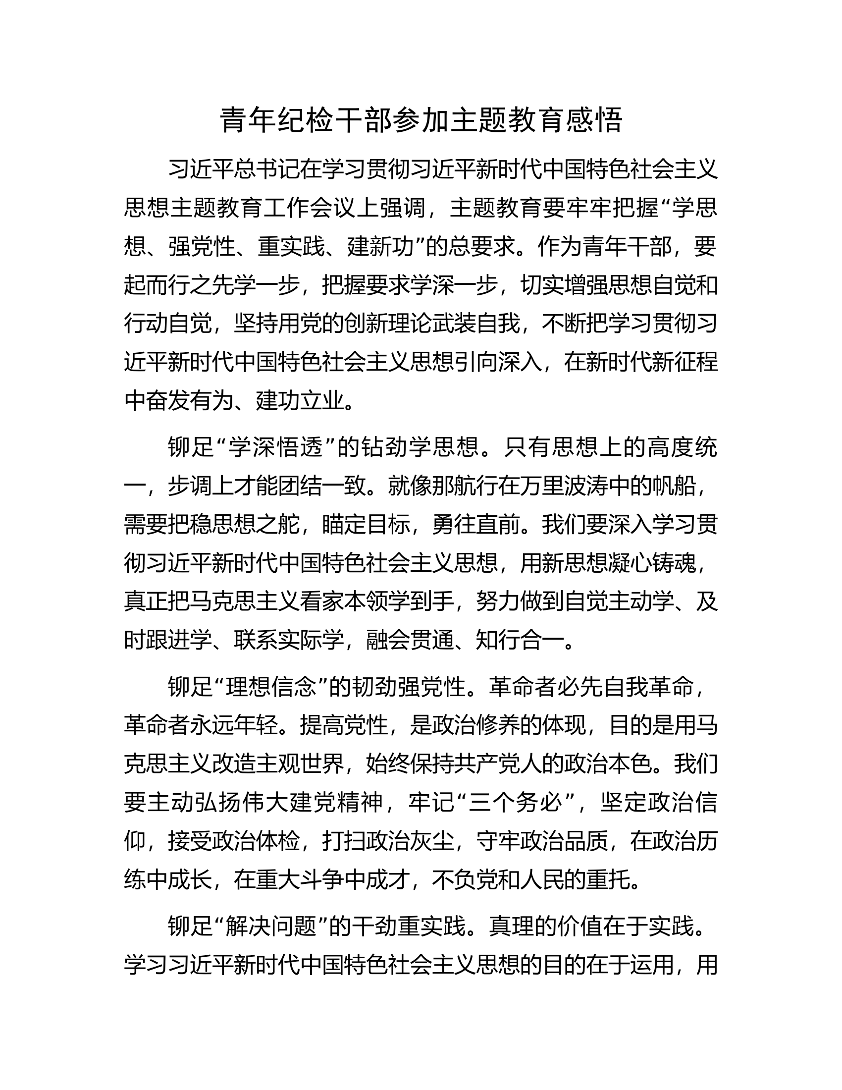 青年纪检干部参加主题教育感悟.docx 第1页