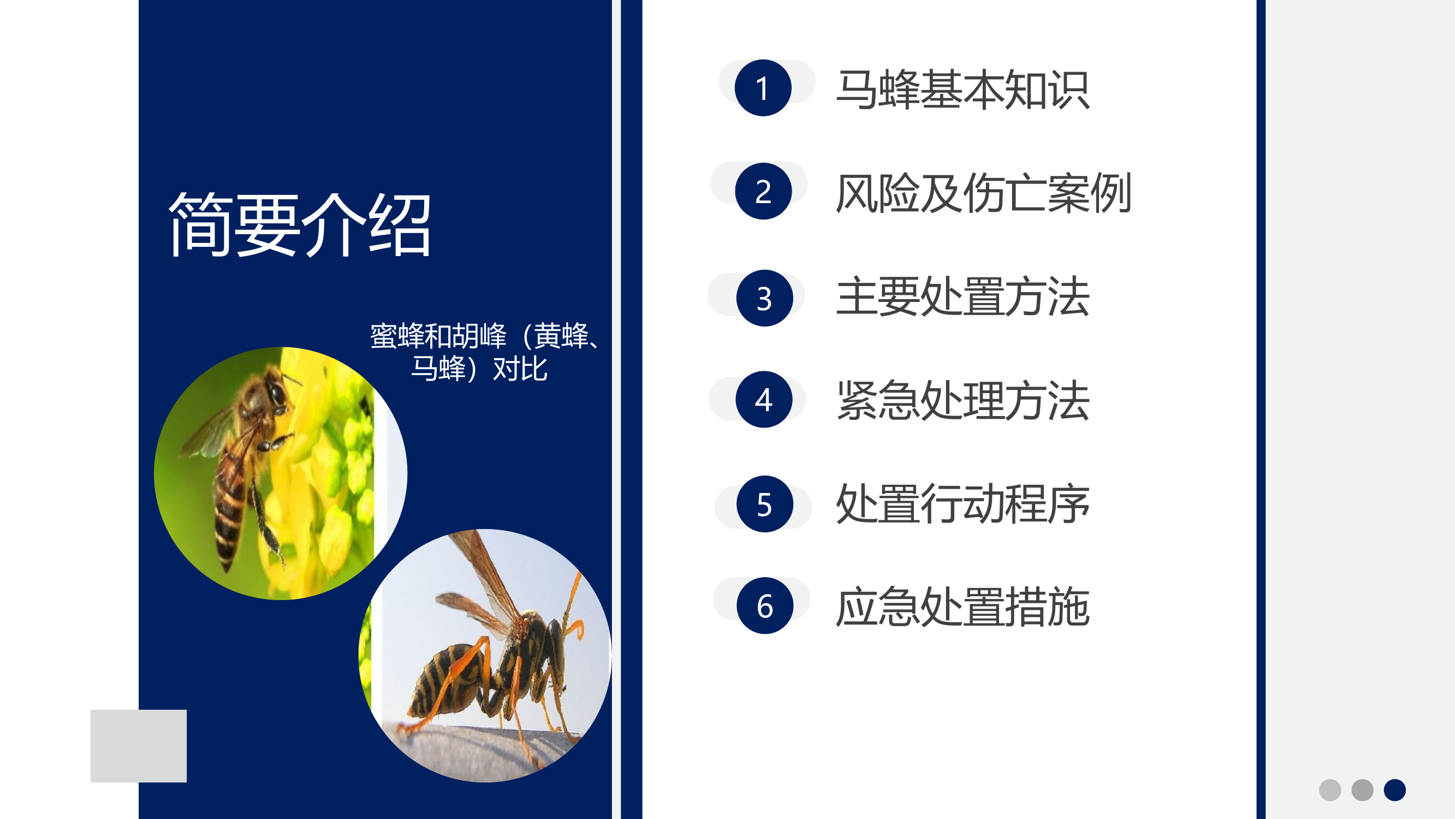 摘除马蜂窝处置方法授课.pptx 第2页