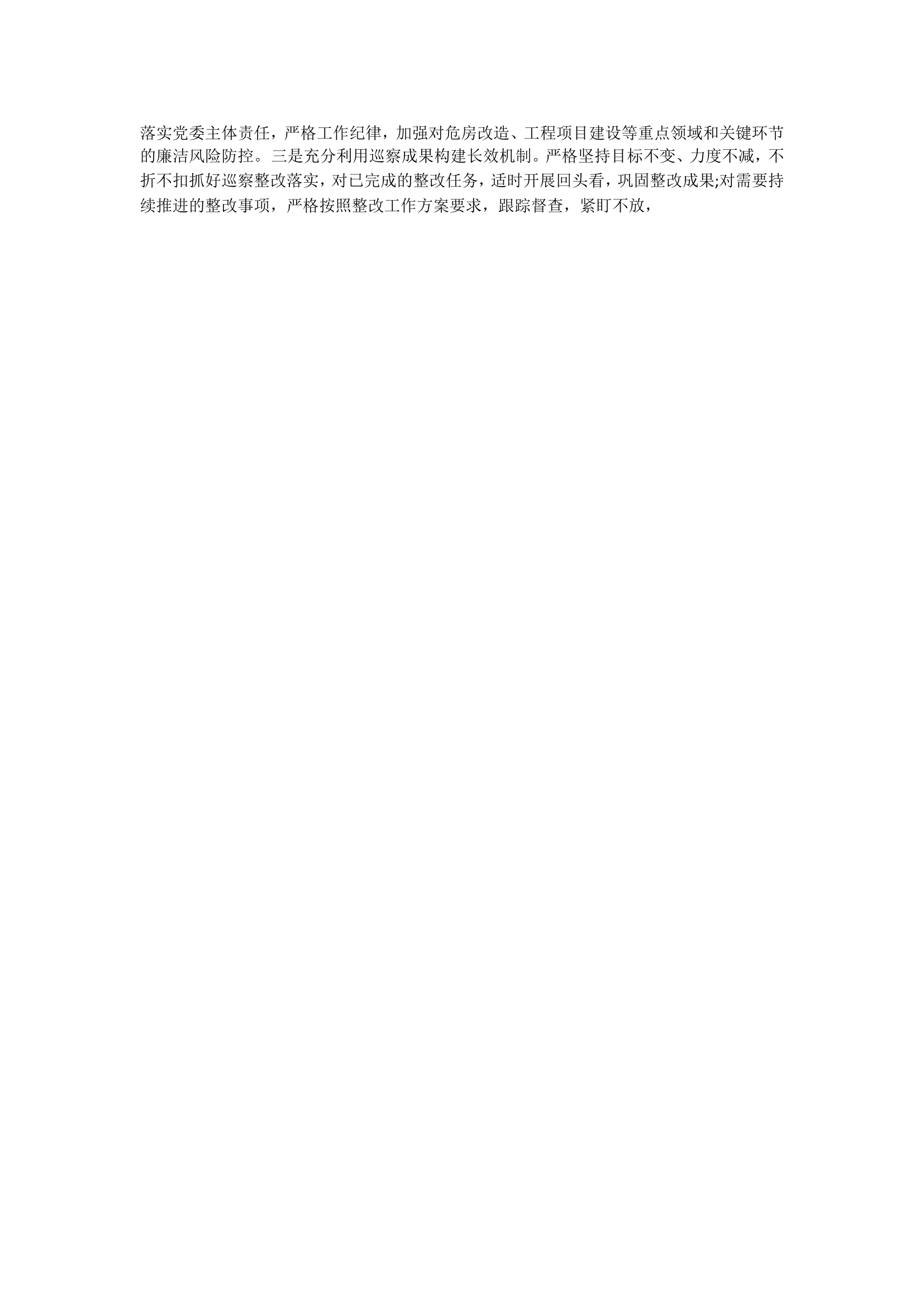 主要负责人落实巡察整改工作报告.doc 第2页