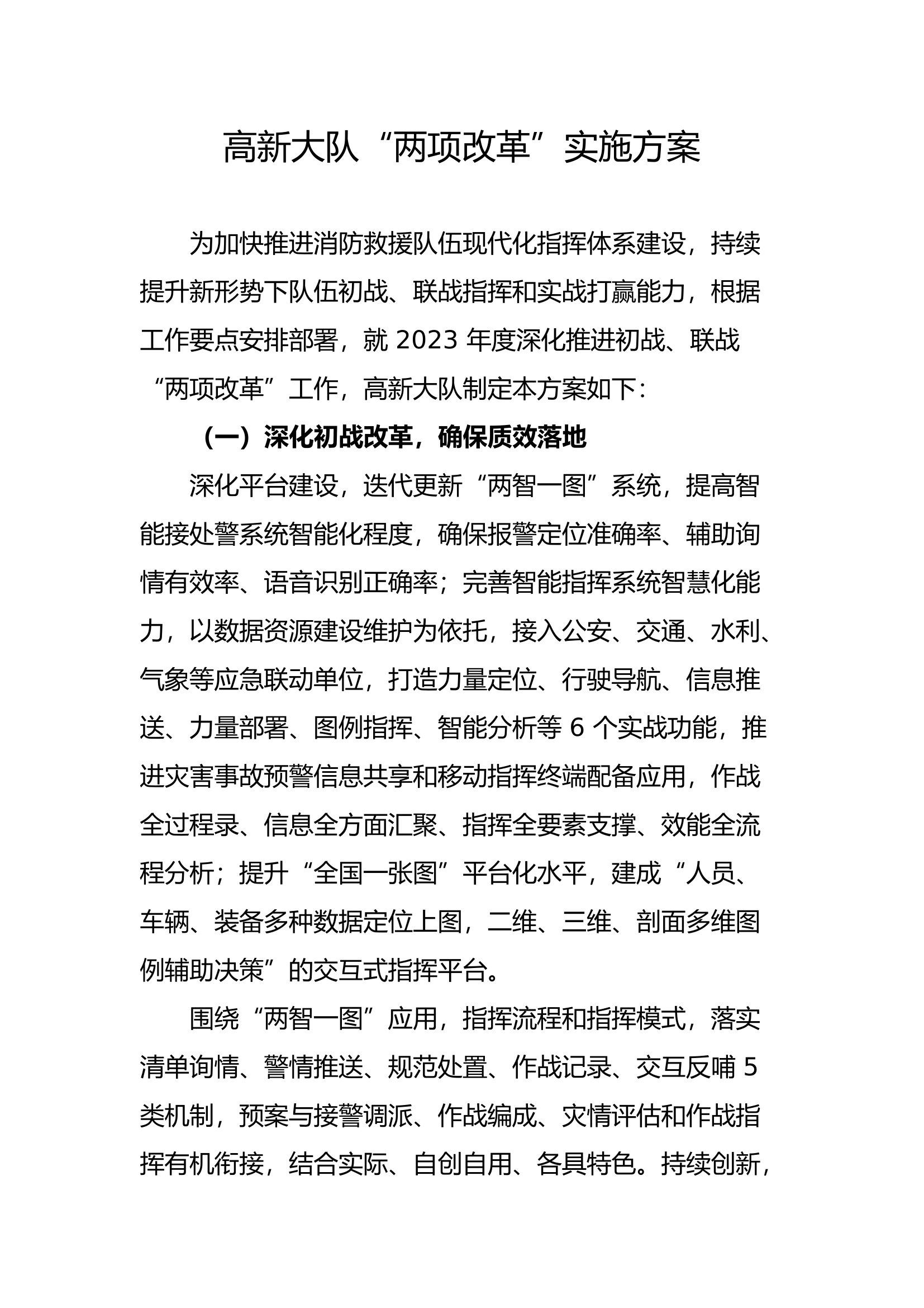 XX大队“两项改革”工作开展情况报告.docx 第1页