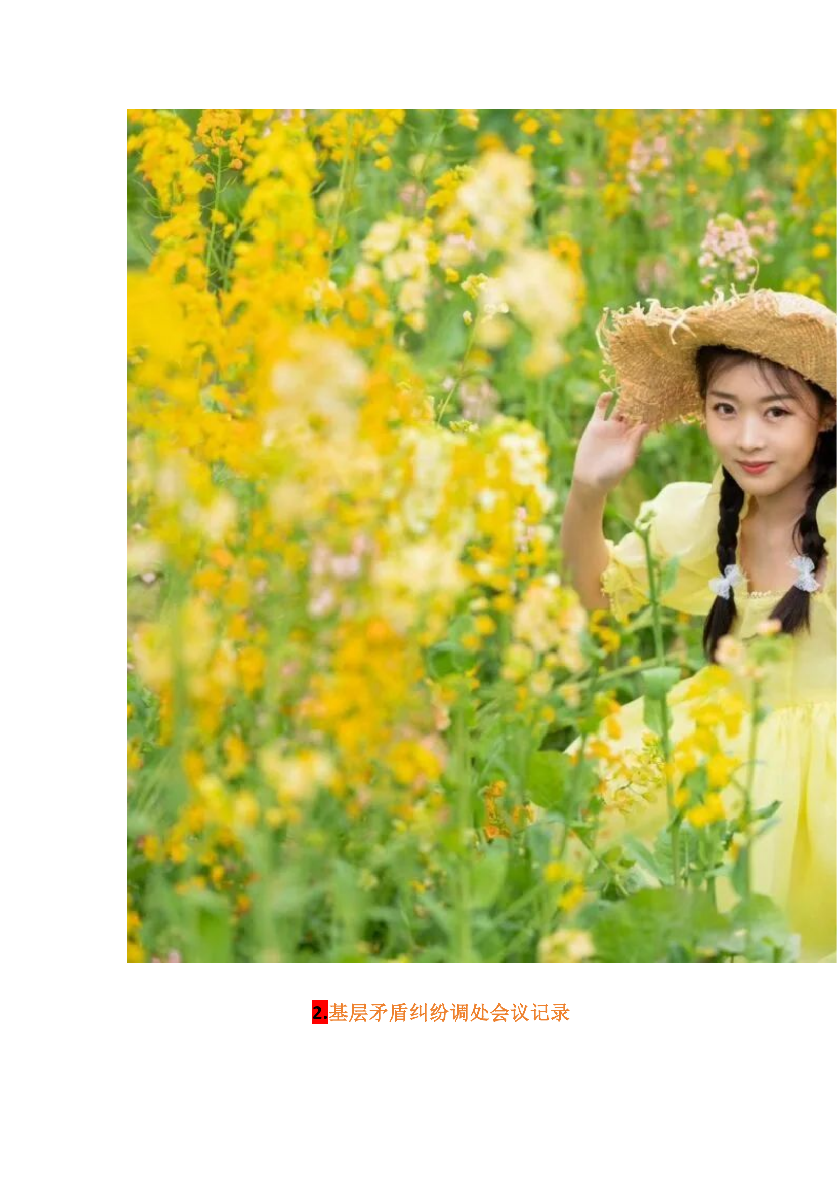 栀夏：矛盾纠纷调处会议记录（范文5篇）.docx 第2页