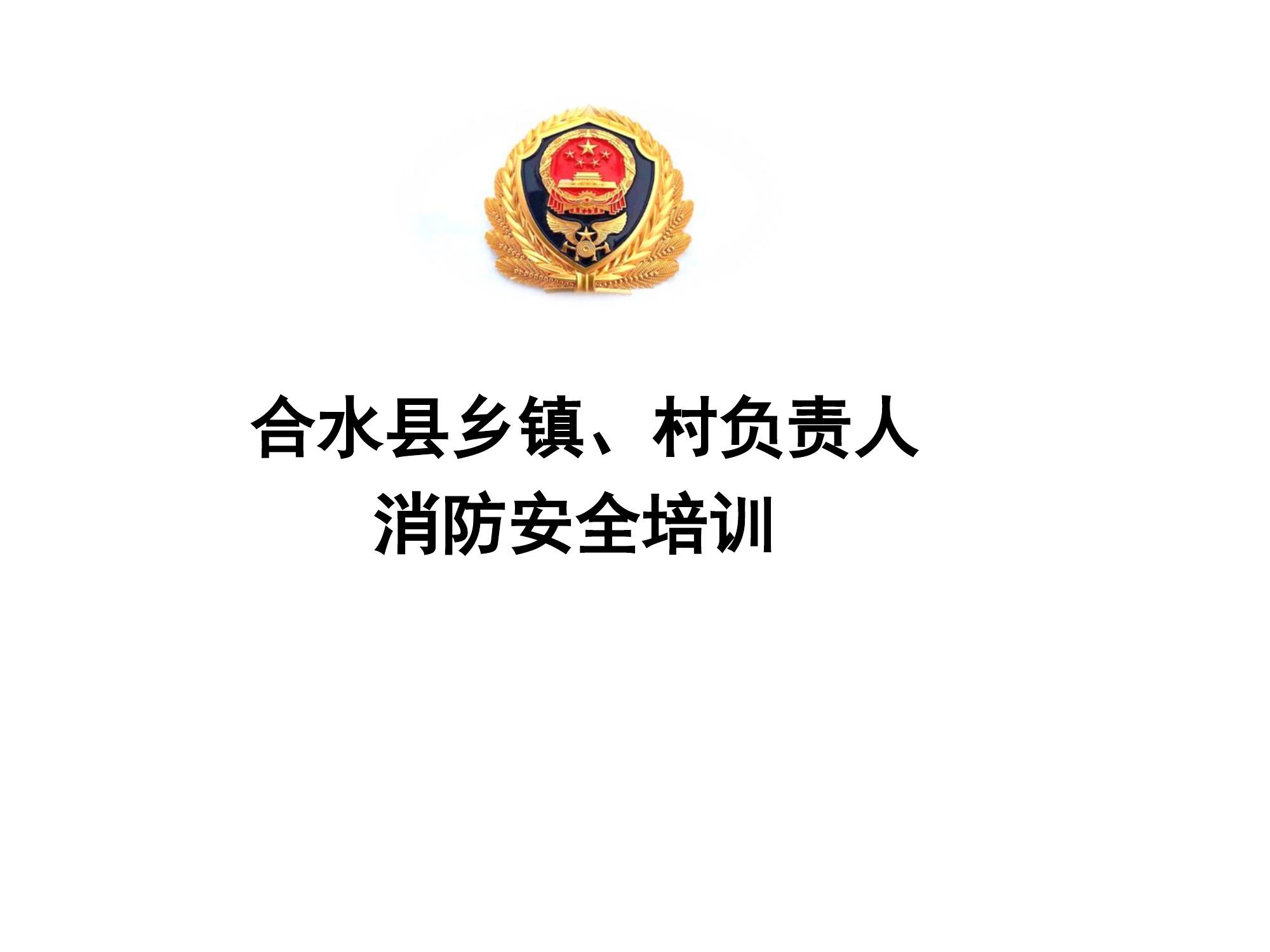 乡镇、村负责人消防安全培训课件.ppt 第1页