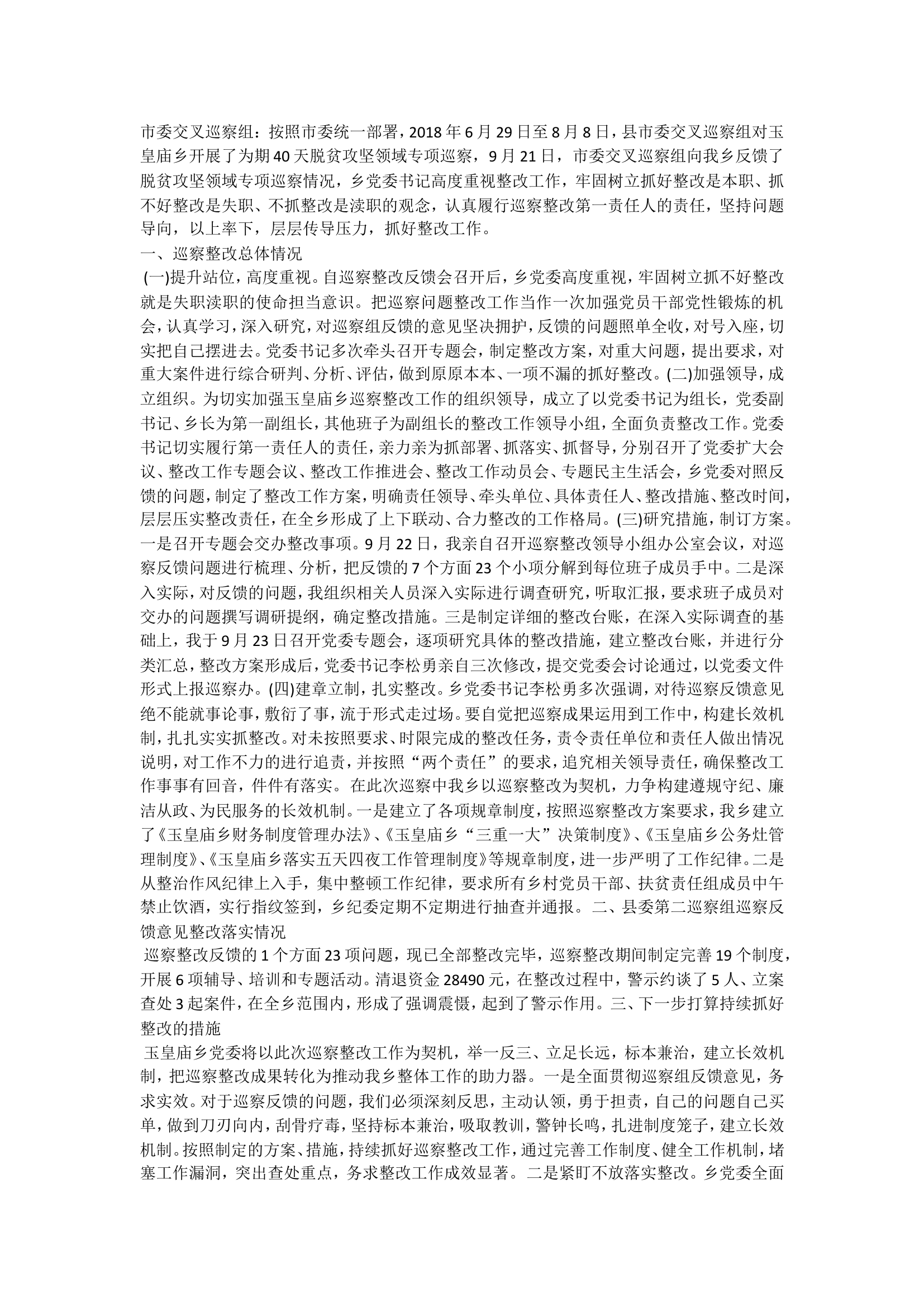 主要负责人落实巡察整改工作报告.doc 第1页
