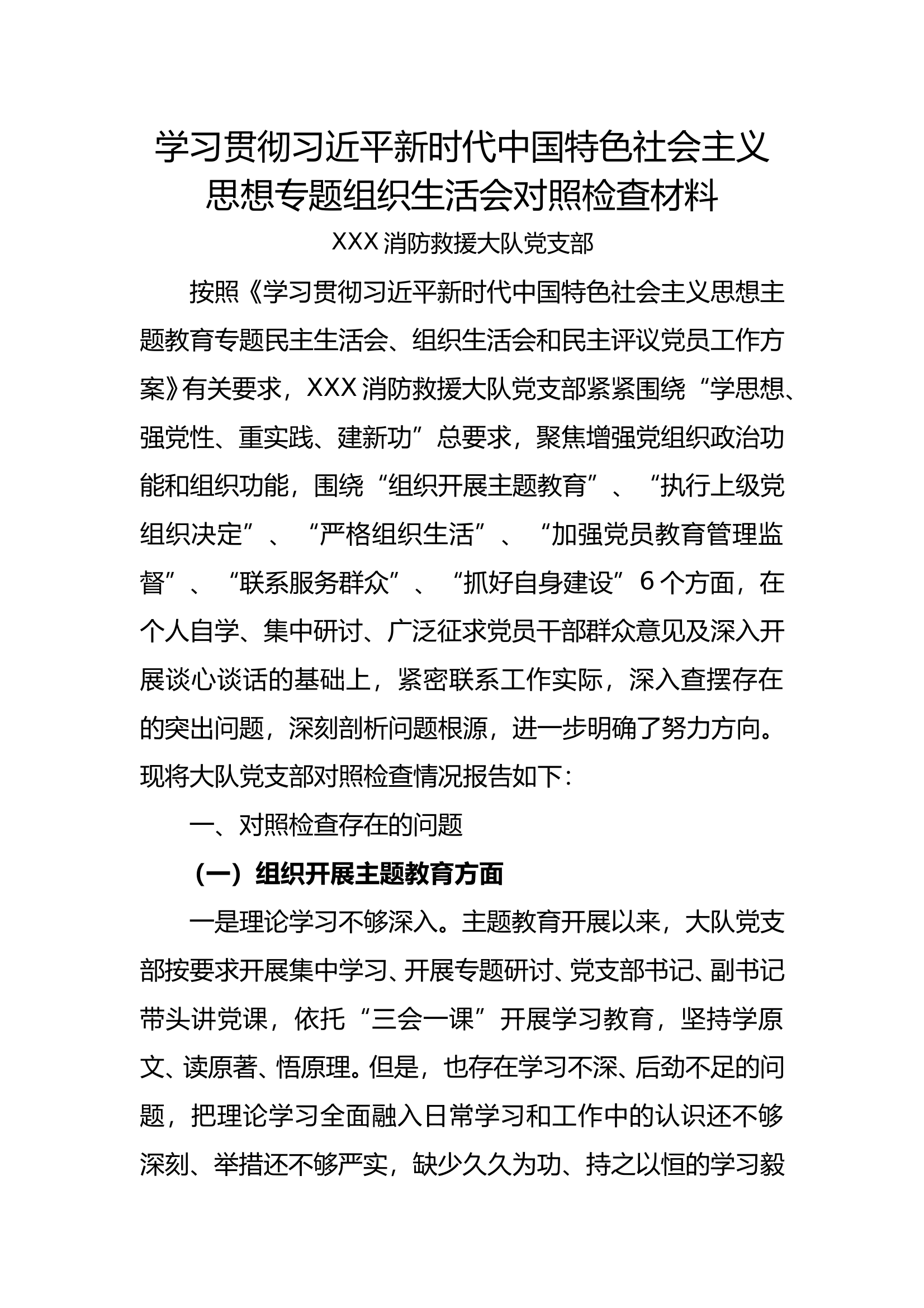 剖析材料（大队党支部） 第1页