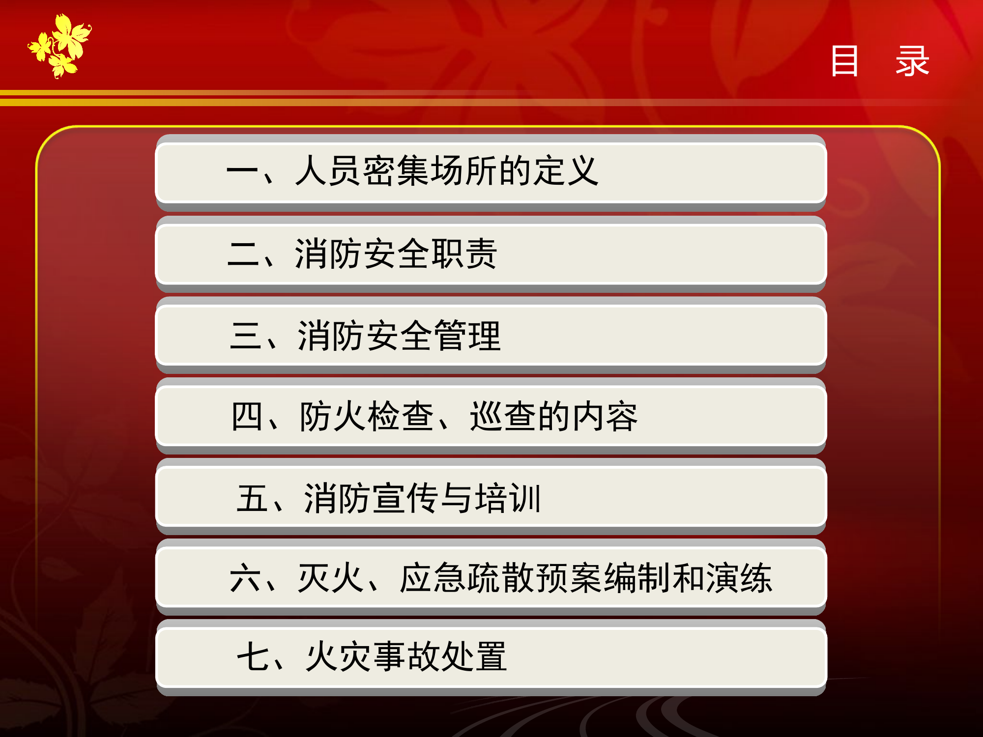21 人员密集场所消防安全培训.ppt 第2页