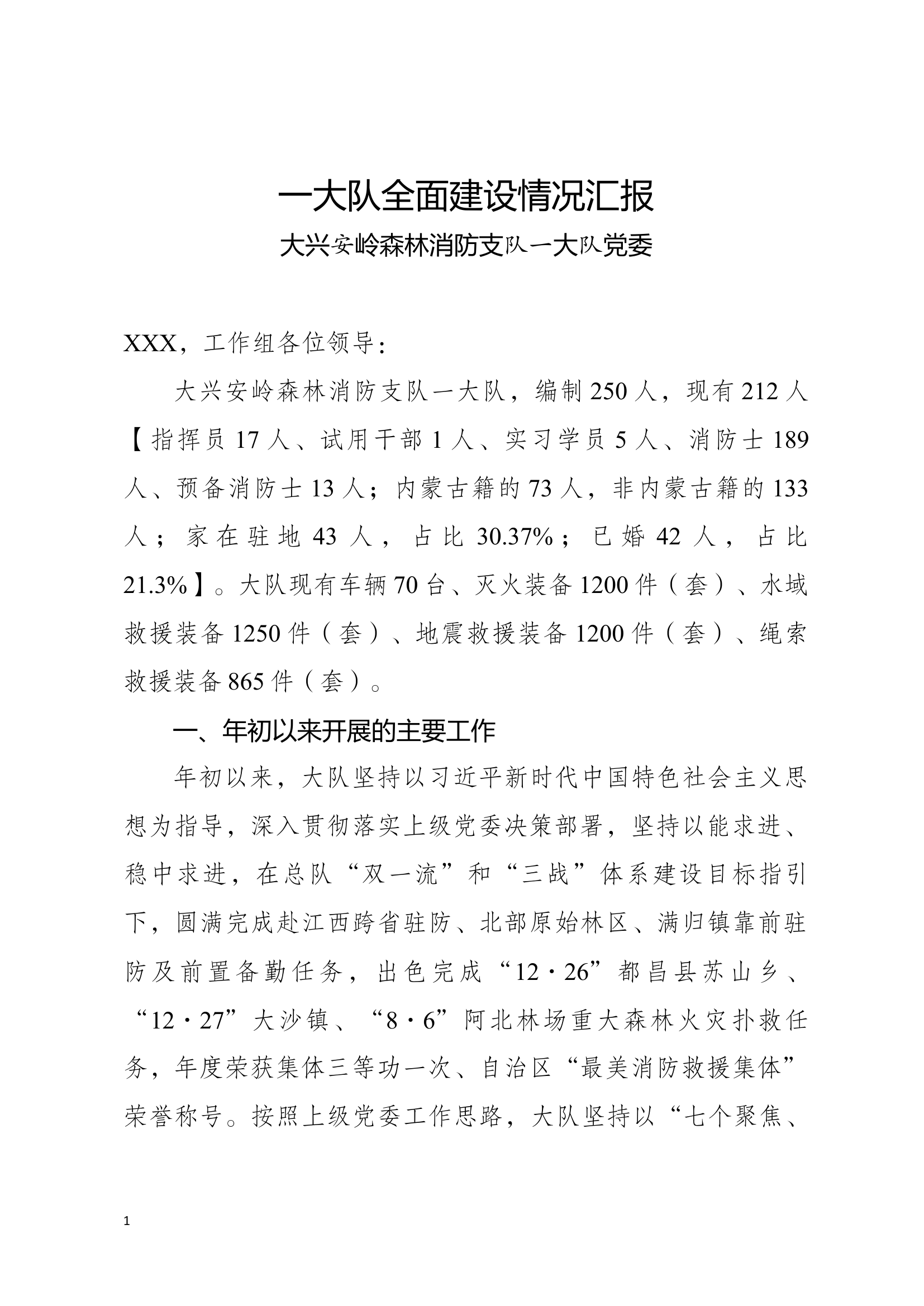 大队全面建设情况汇报 第1页