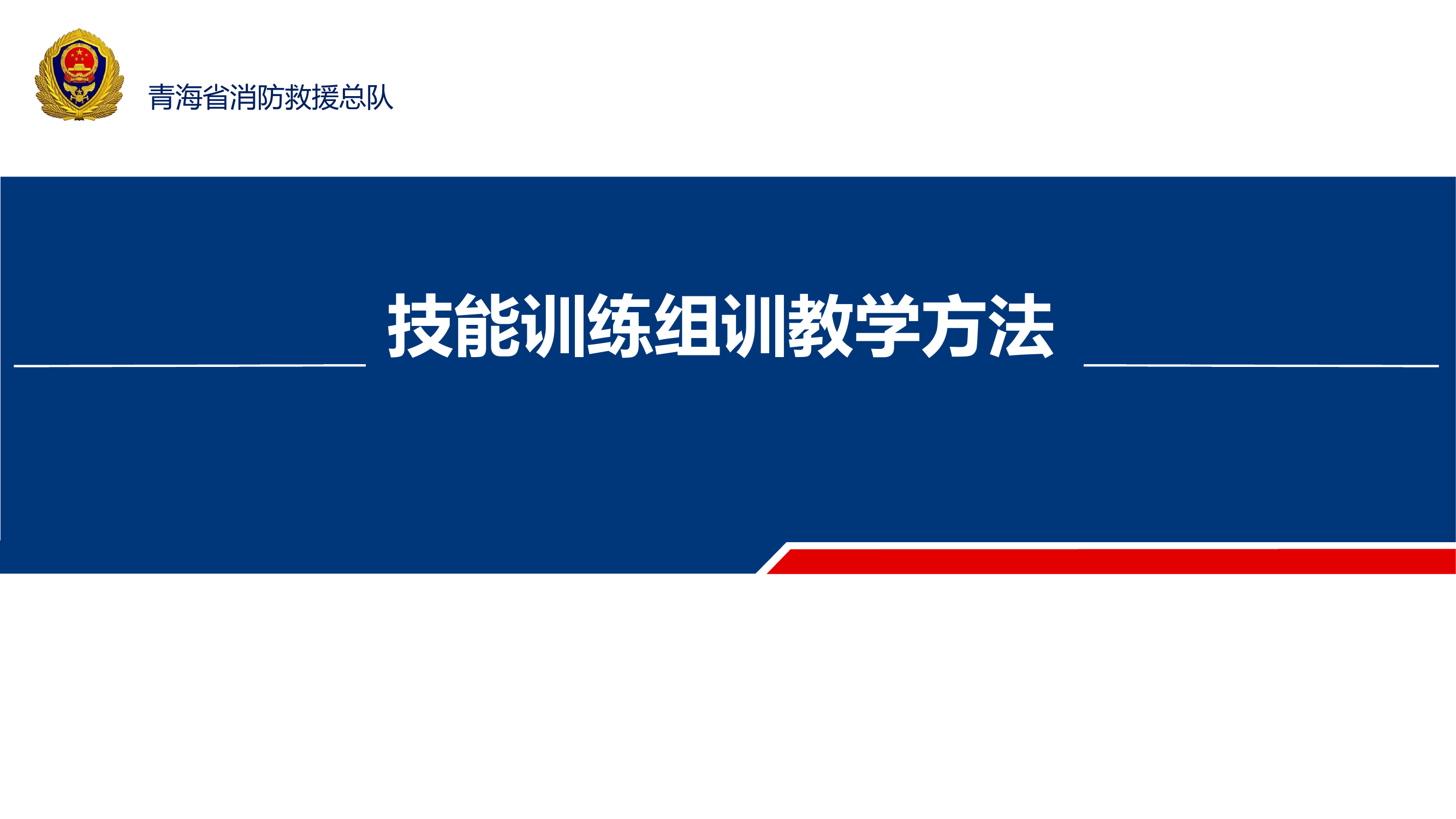 技能训练组训教学方法 第1页