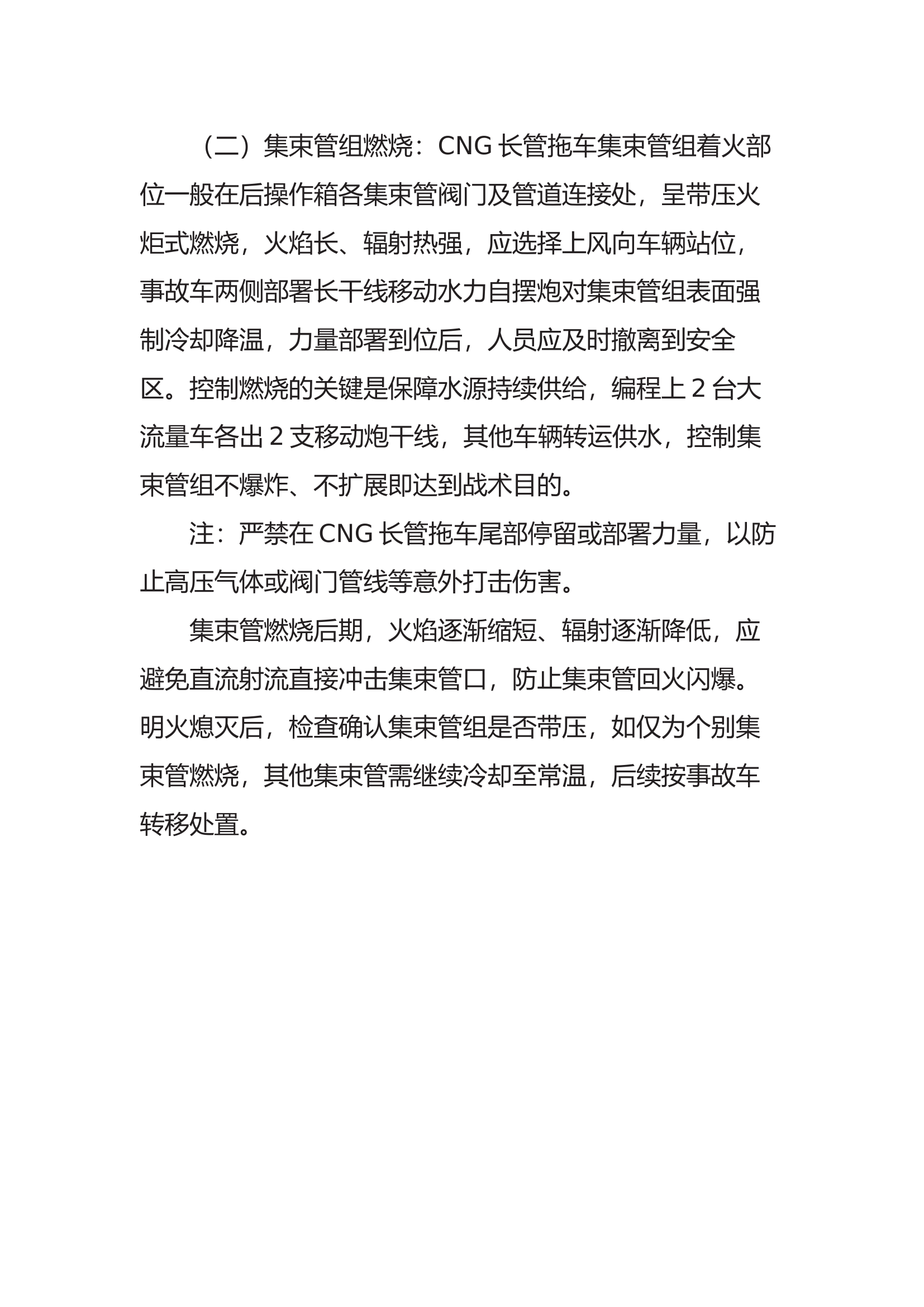 压缩天然气（CNG）处置要点.docx 第2页