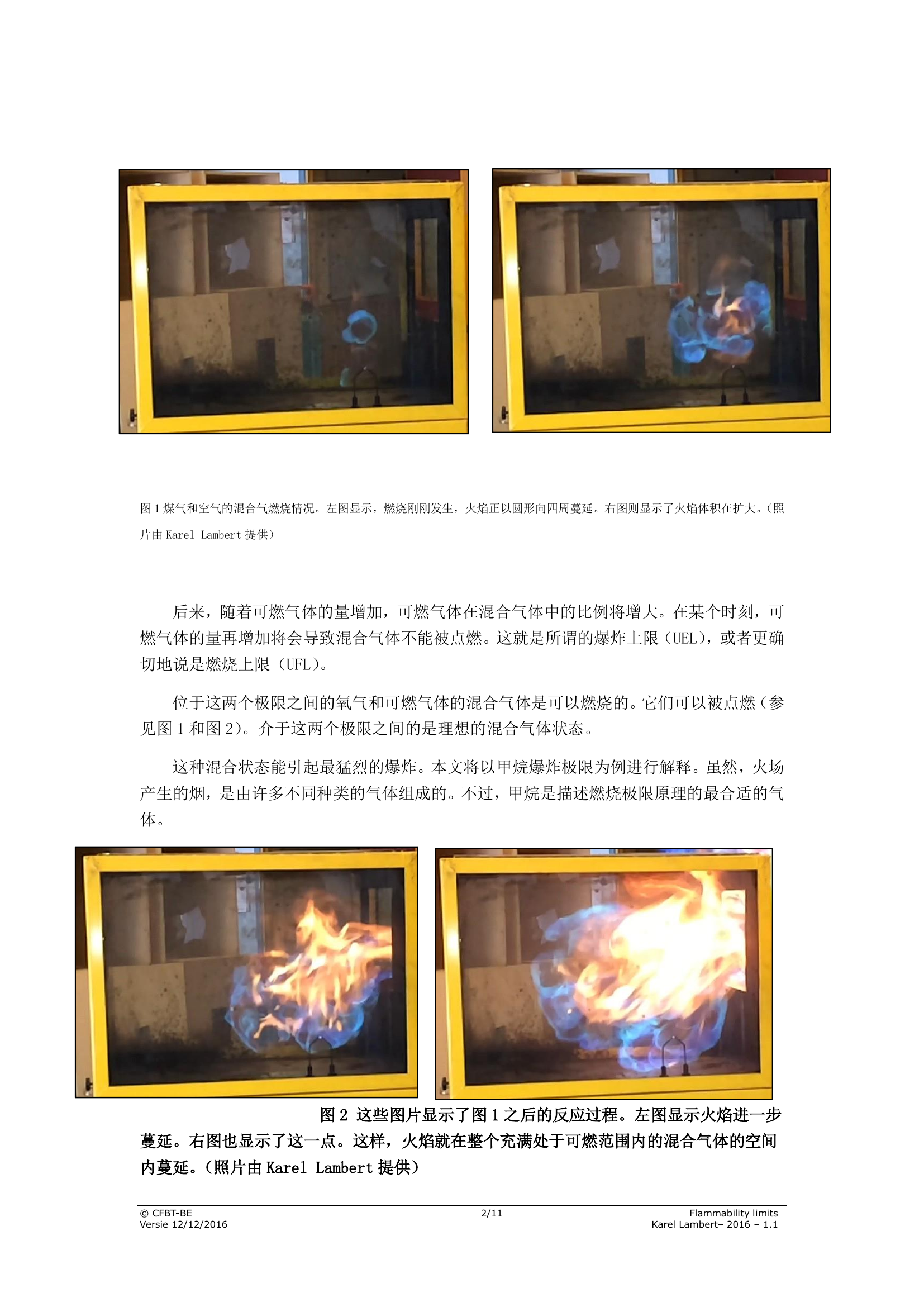 19燃烧极限.pdf 第2页