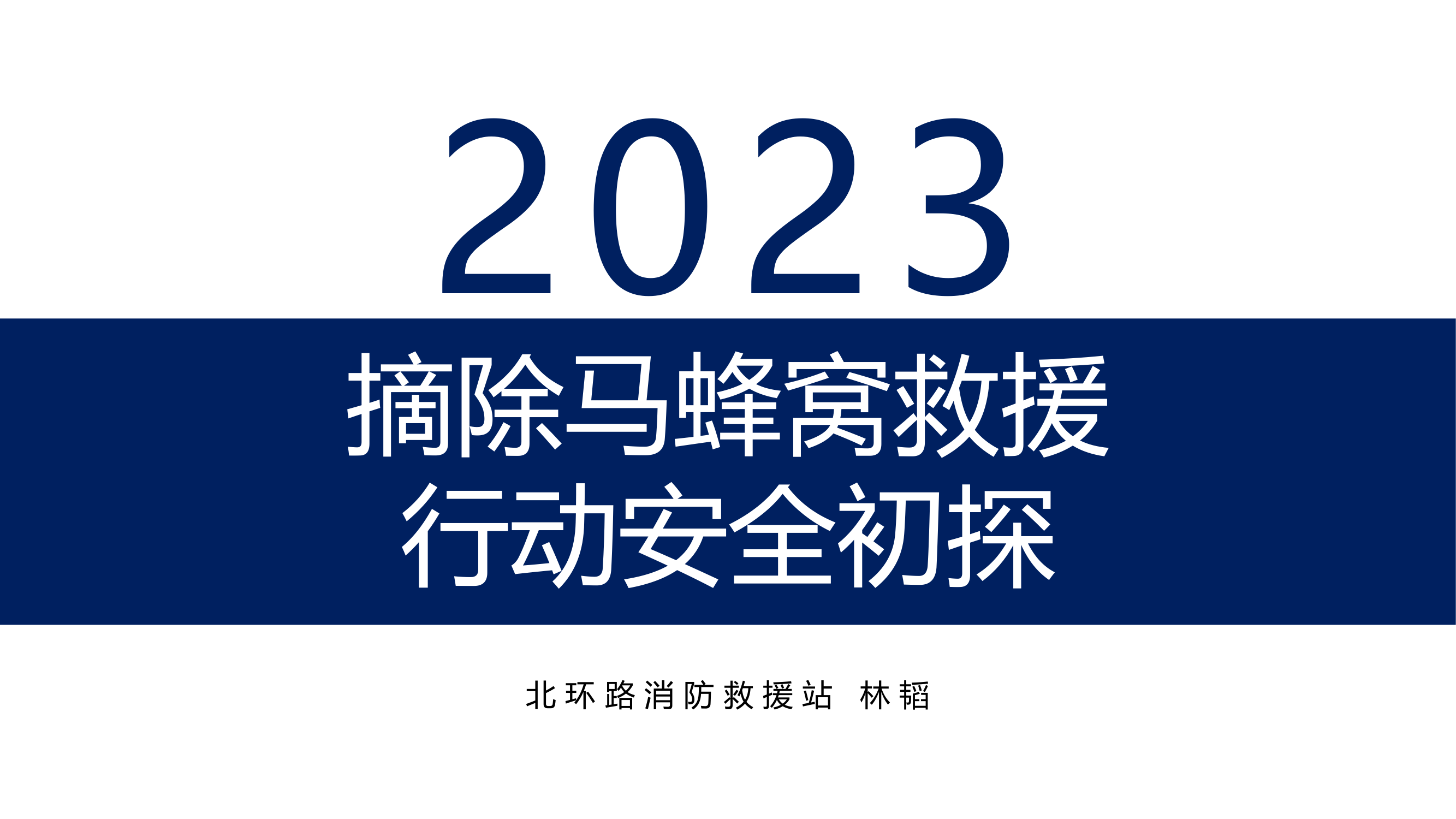 摘除马蜂窝处置方法授课最新2023.pptx 第1页