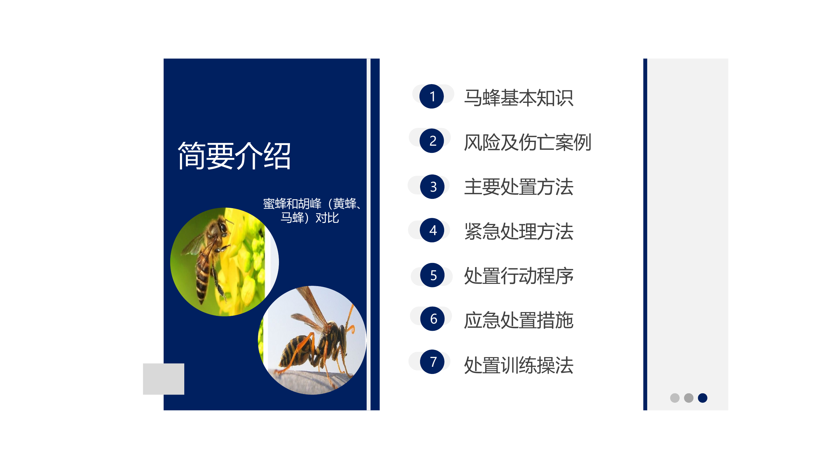 1_摘马蜂窝0720.pptx 第2页