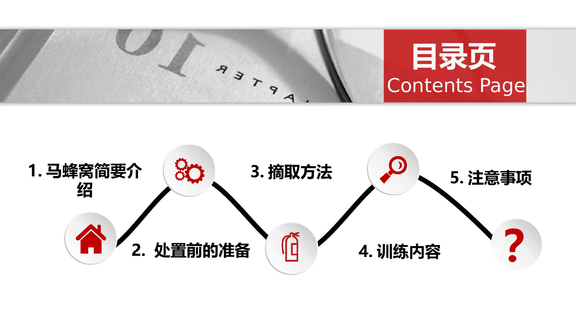 （秀山特勤站）如何摘除马蜂窝.pptx 第2页