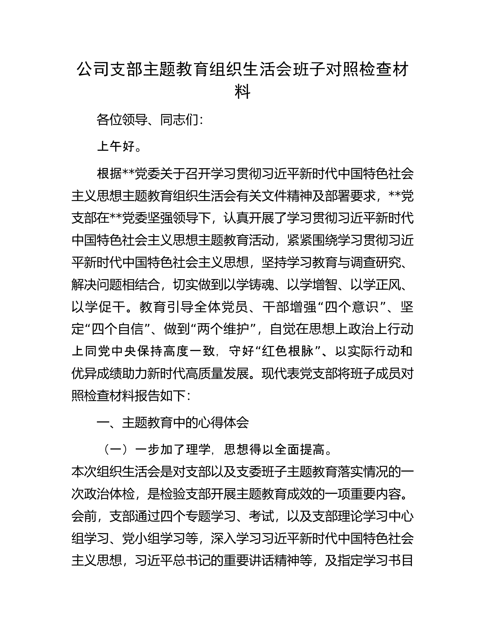 公司支部主题教育组织生活会班子对照检查材料.docx 第1页