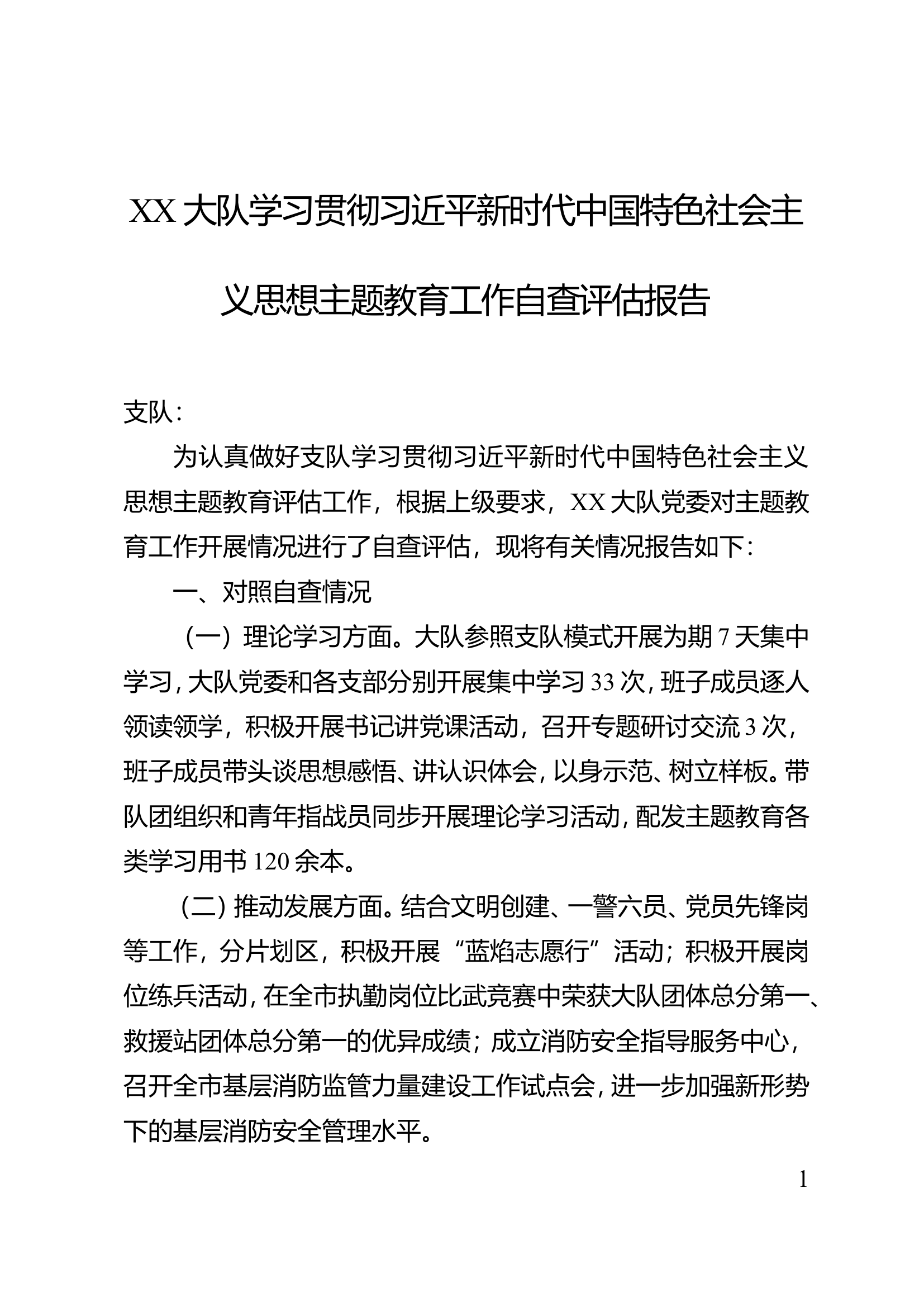 XX大队自查评估报告.doc 第1页