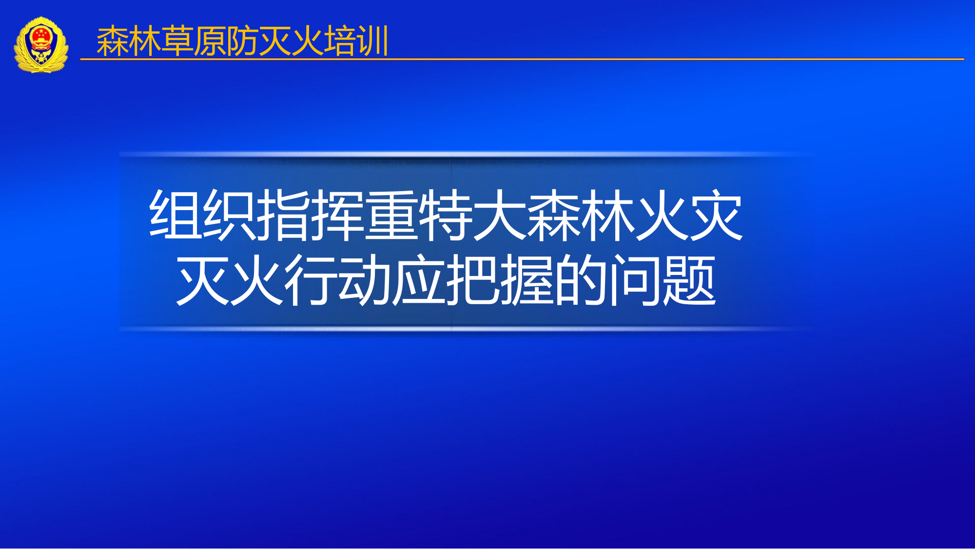 组织指挥重特大森林火灾灭火行动应把握的问题.pptx 第1页