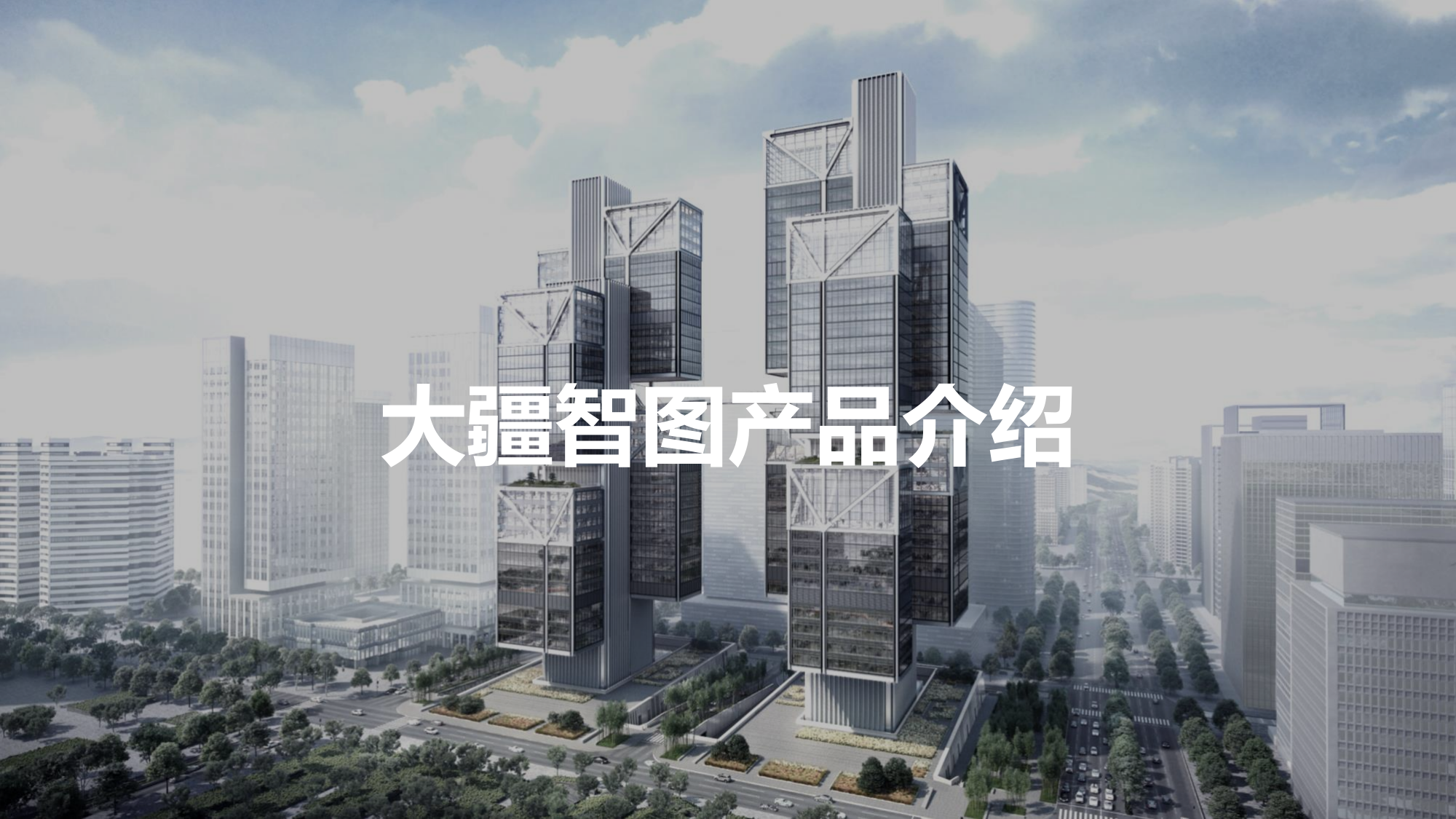 大疆智图产品介绍202202.pdf 第1页