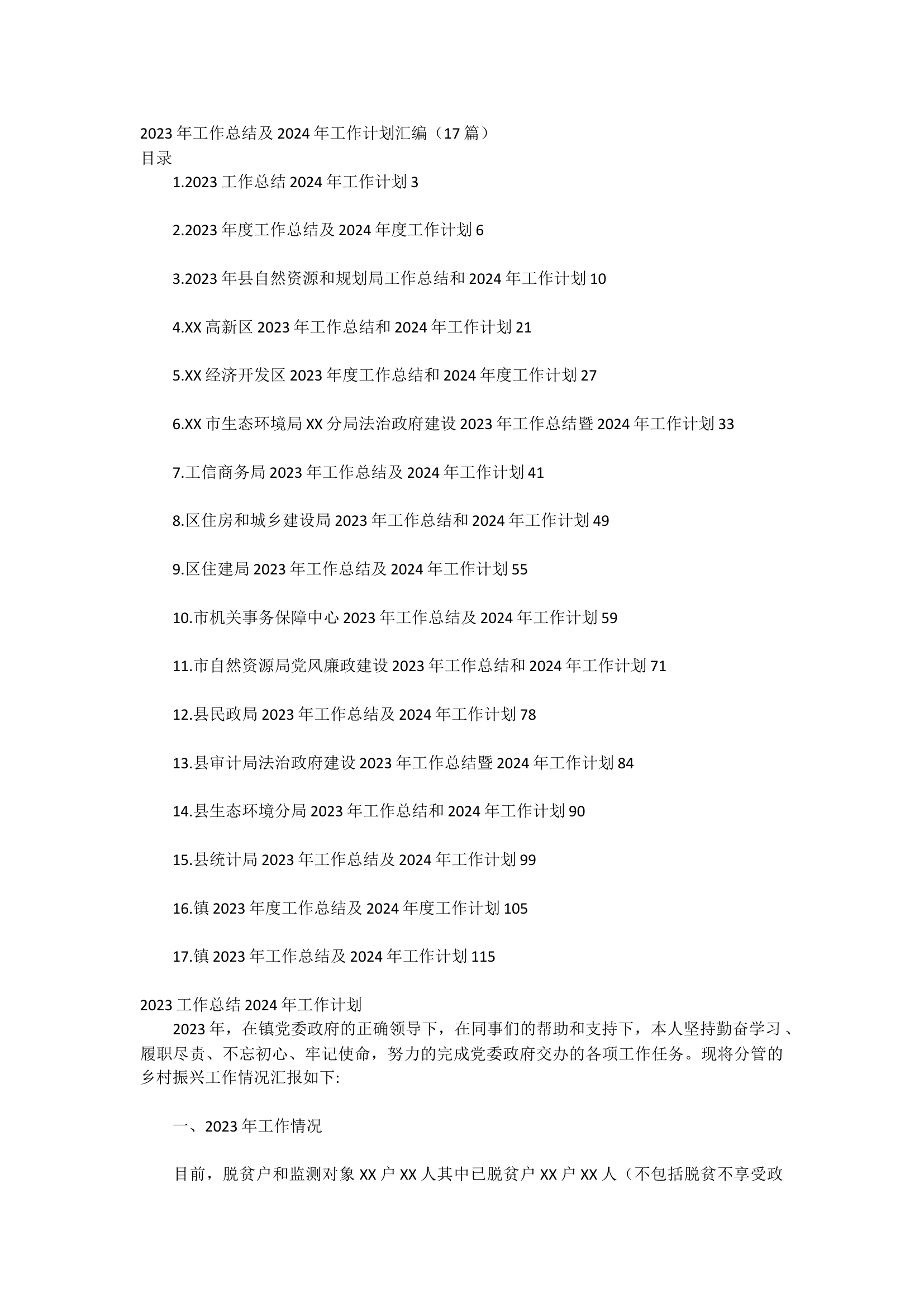 2023年工作总结及2024年工作计划汇编（17篇）.docx 第1页