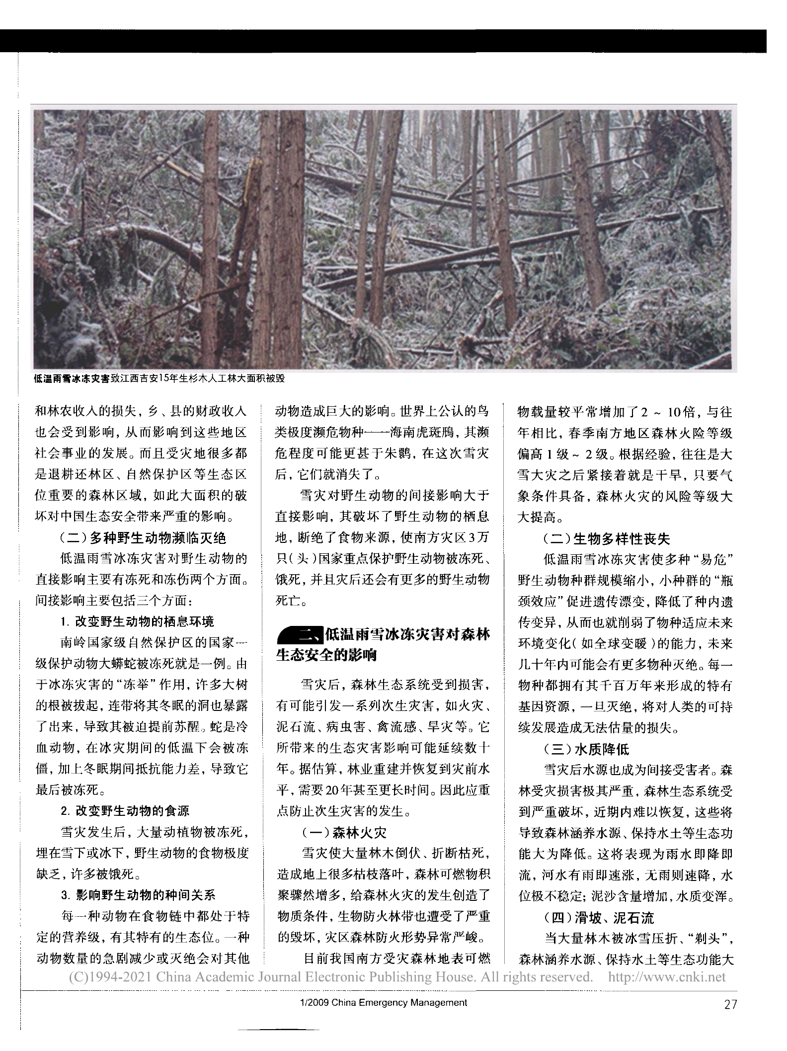 我国南方低温雨雪冰冻灾害对森林 生态安全的影响与消除对策.pdf 第2页