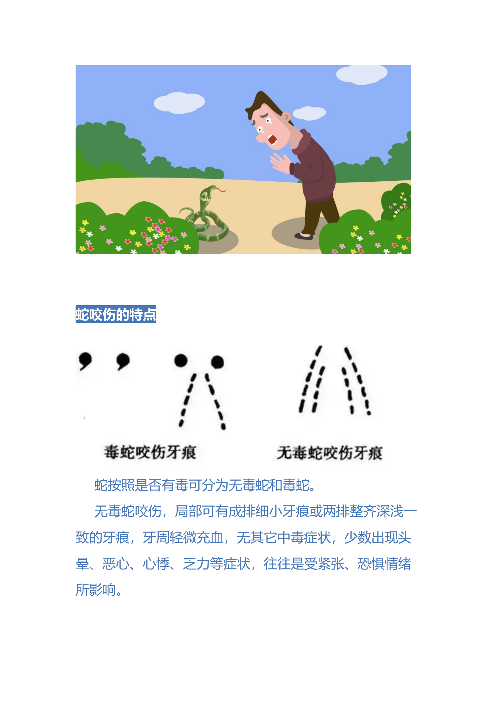 蛇咬伤该如何紧急处置.docx 第2页